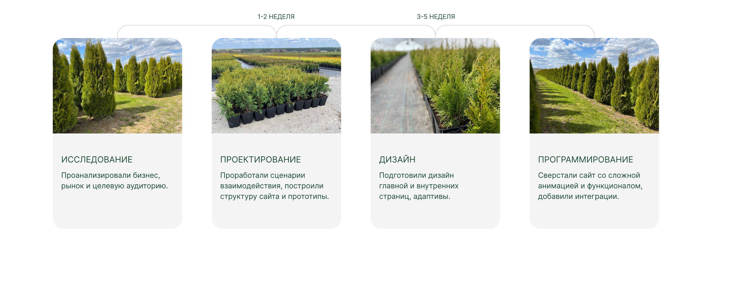 Интернет-магазин питомника растений САЙТ ПОД КЛЮЧ — Изображение №3 — Интерфейсы на Dprofile