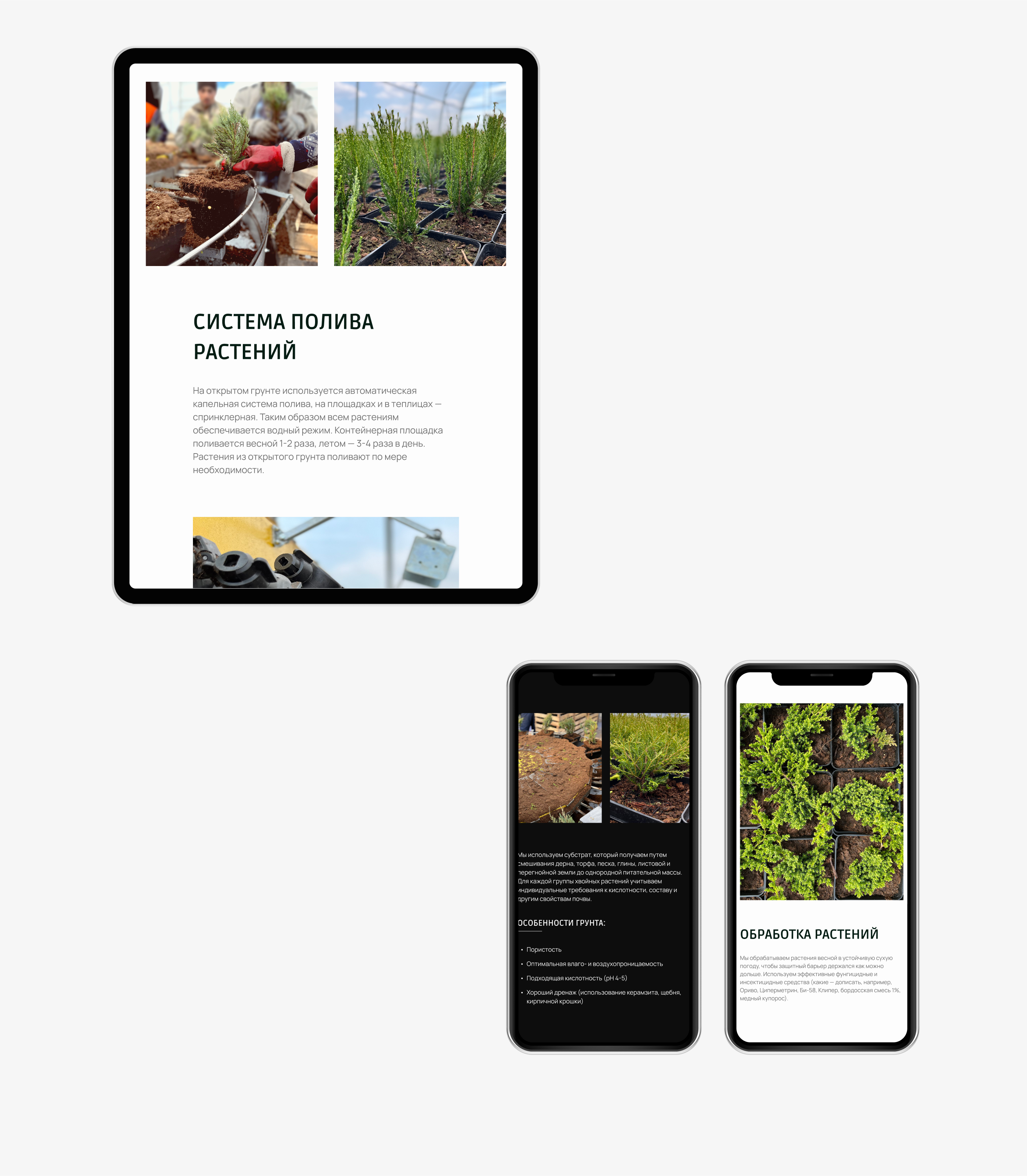 Интернет-магазин питомника растений САЙТ ПОД КЛЮЧ — Изображение №23 — Интерфейсы на Dprofile