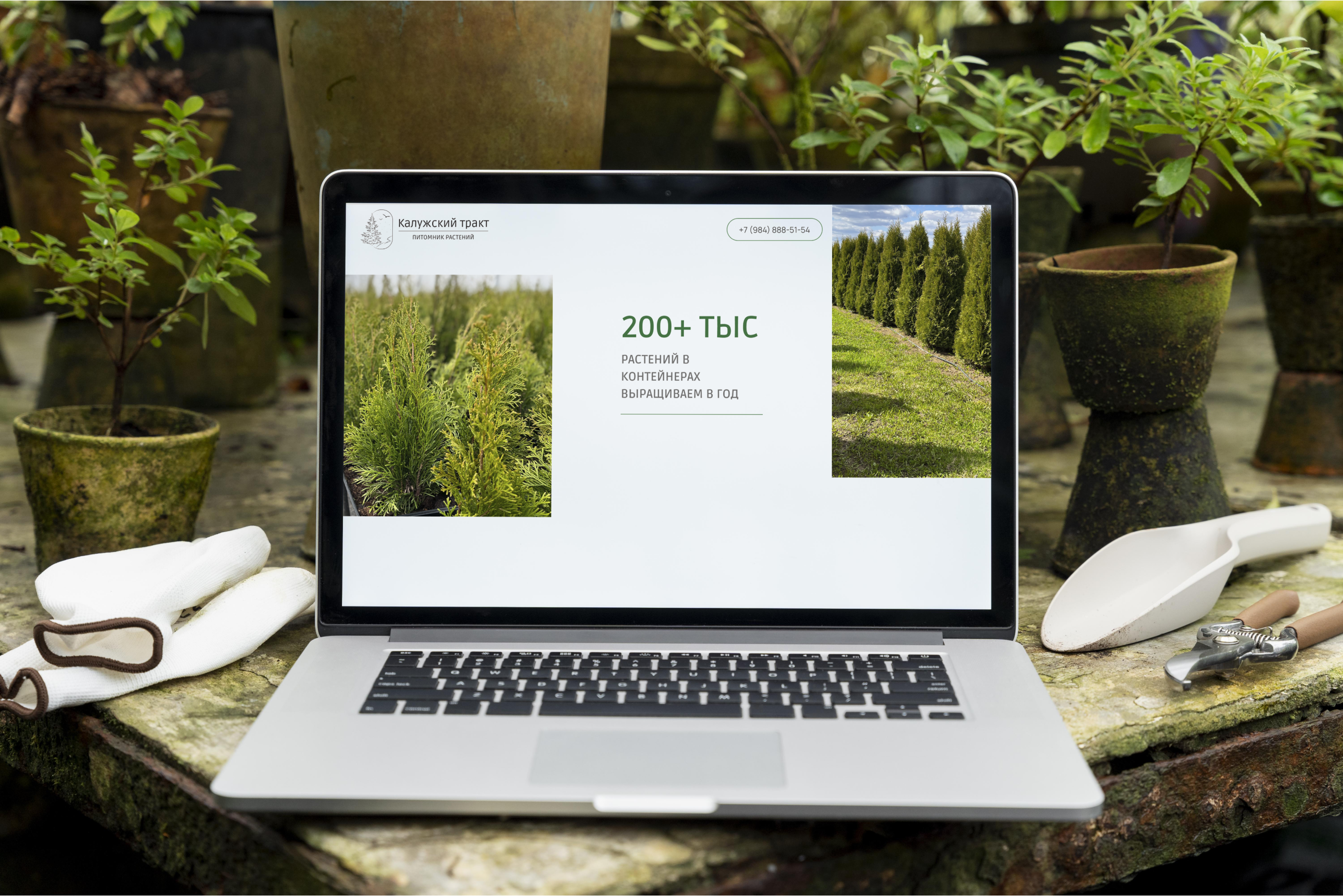 Интернет-магазин питомника растений САЙТ ПОД КЛЮЧ — Изображение №19 — Интерфейсы на Dprofile