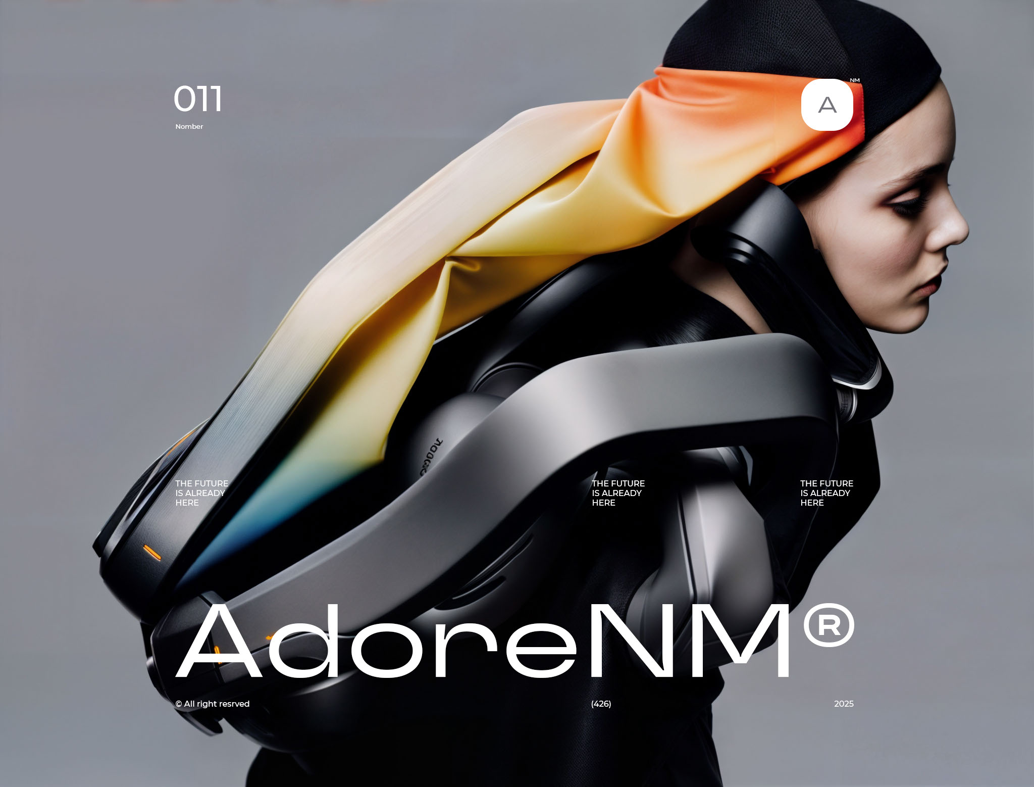 AdoreNM — Изображение №11 — Брендинг, Иллюстрация на Dprofile