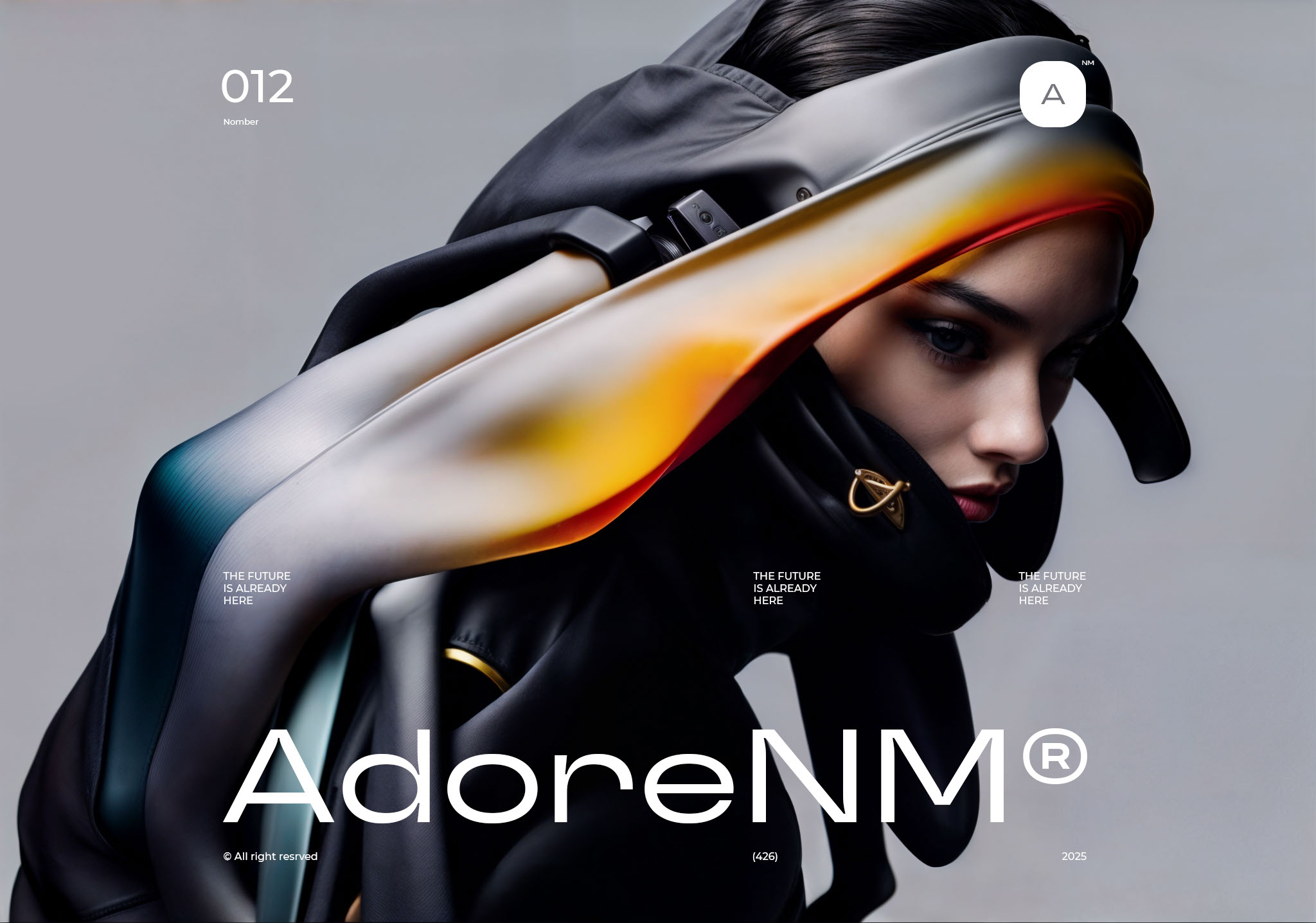 AdoreNM — Изображение №12 — Брендинг, Иллюстрация на Dprofile