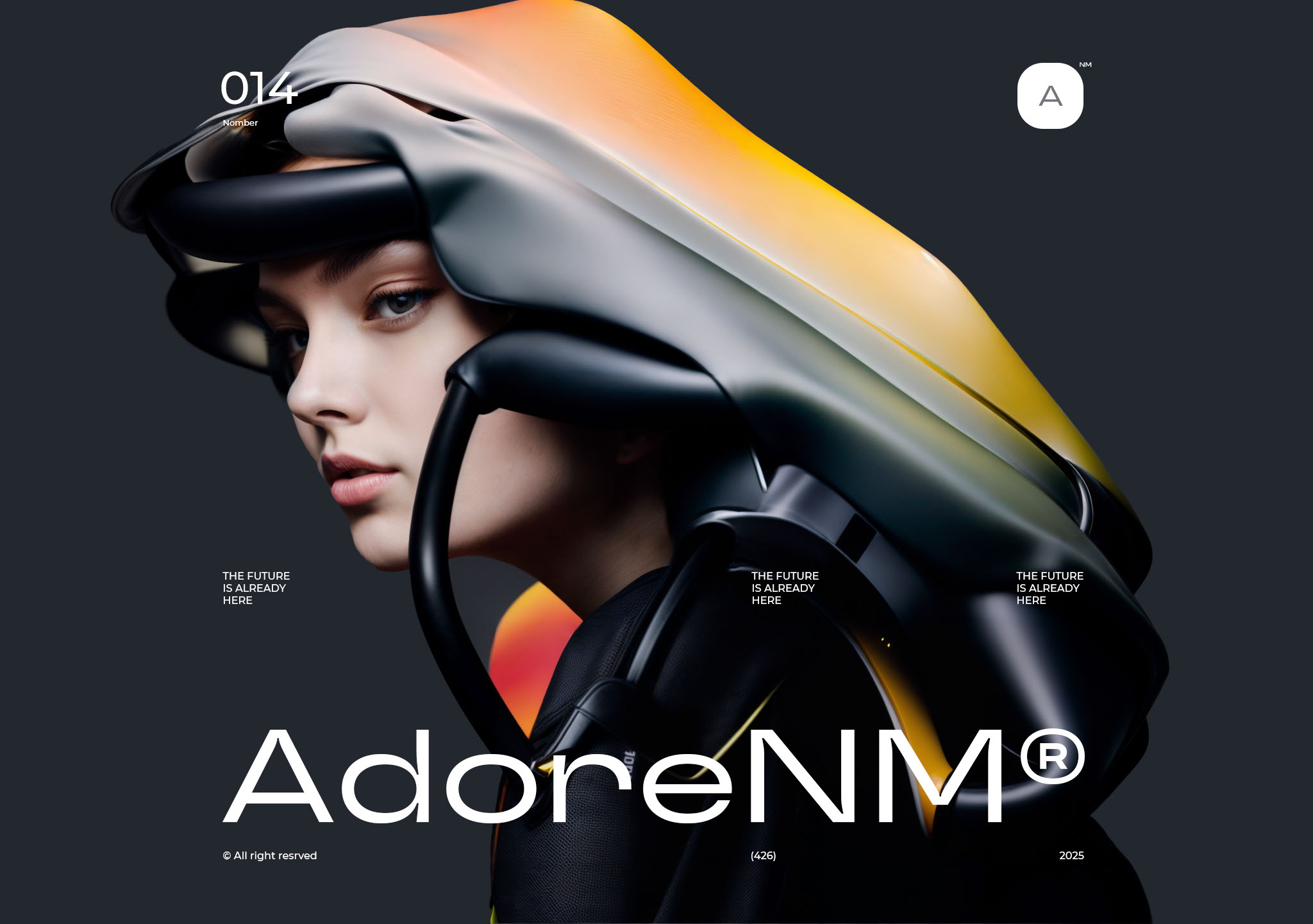 AdoreNM — Изображение №14 — Брендинг, Иллюстрация на Dprofile