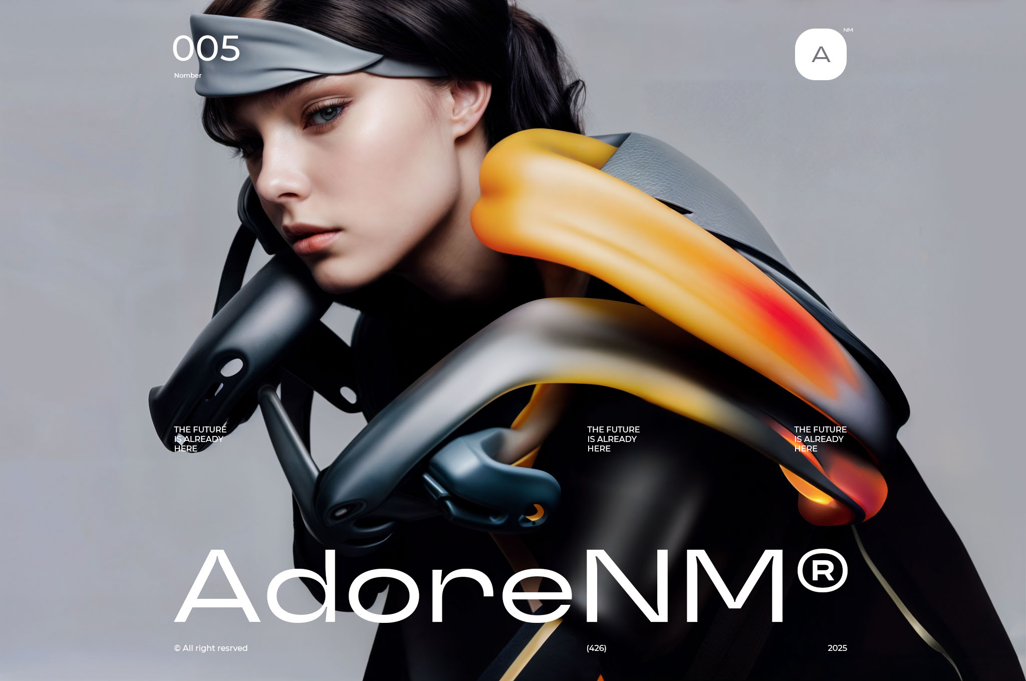 AdoreNM — Изображение №5 — Брендинг, Иллюстрация на Dprofile