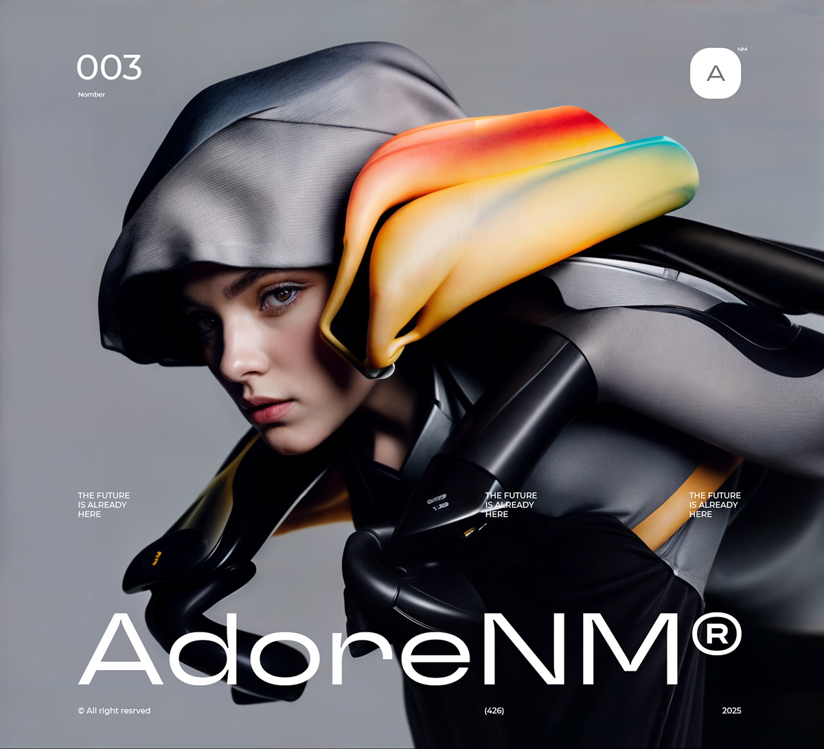 AdoreNM — Изображение №3 — Брендинг, Иллюстрация на Dprofile