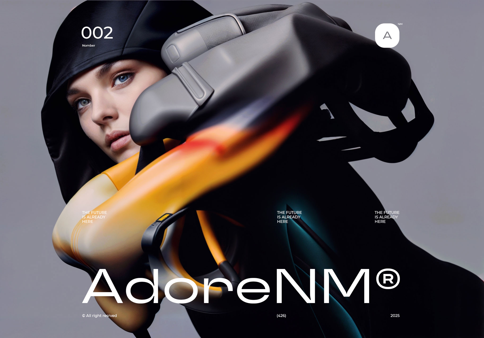 AdoreNM — Изображение №2 — Брендинг, Иллюстрация на Dprofile