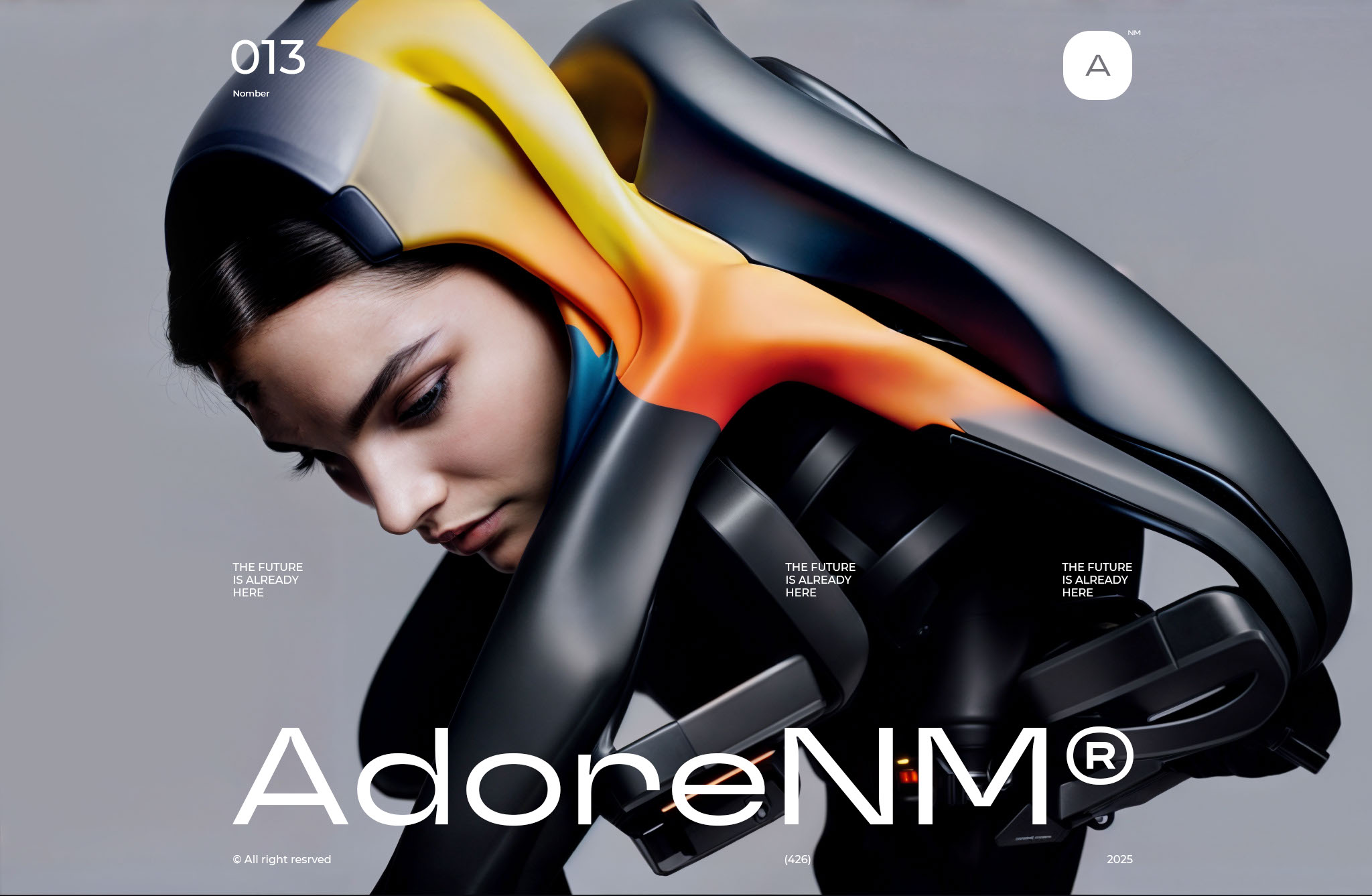 AdoreNM — Изображение №13 — Брендинг, Иллюстрация на Dprofile