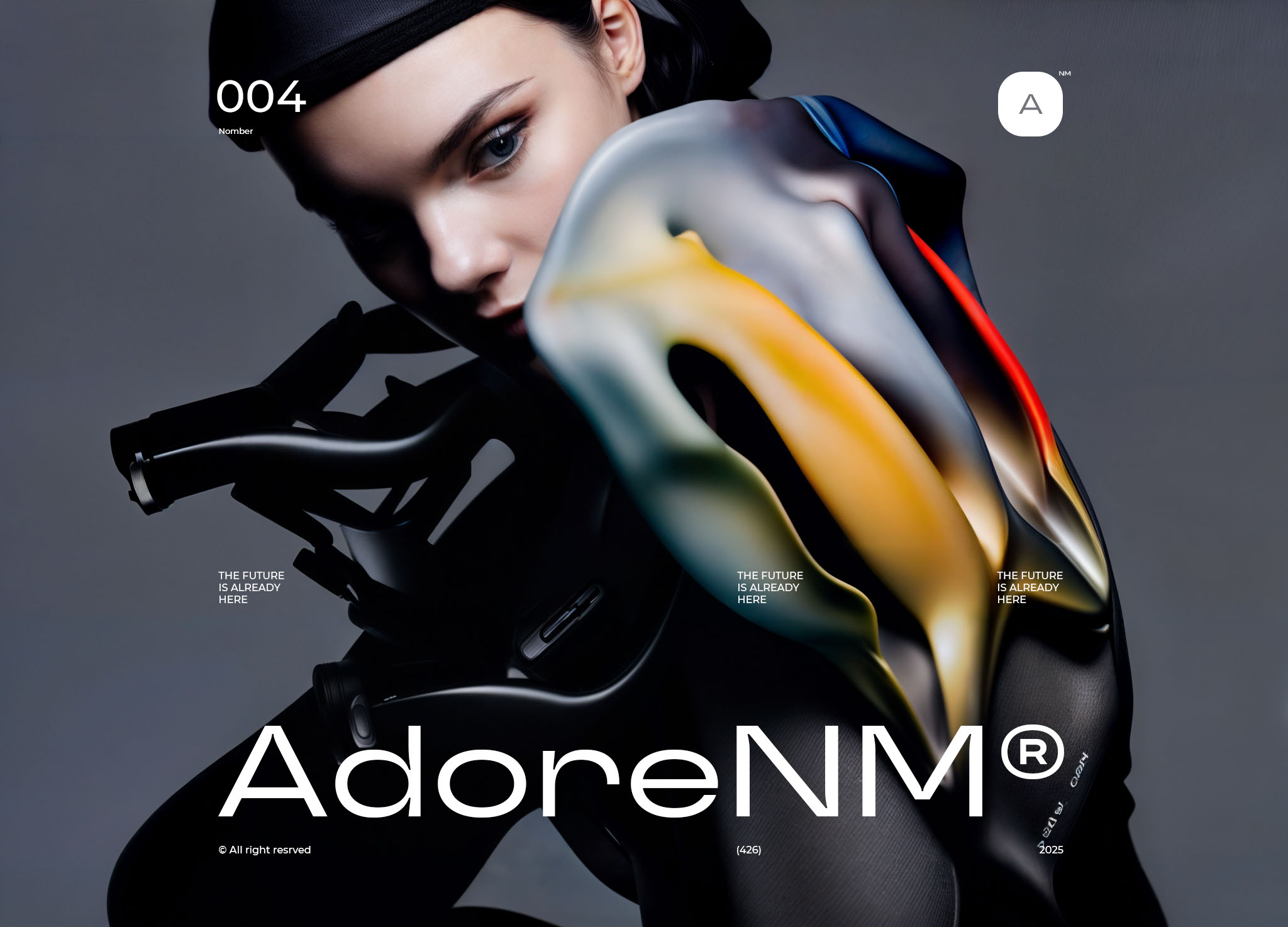 AdoreNM — Изображение №4 — Брендинг, Иллюстрация на Dprofile