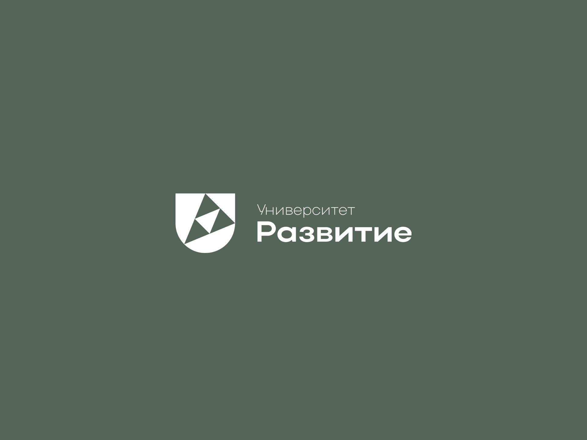 Логофолио / 2021 - 2025 — Изображение №54 — Брендинг на Dprofile