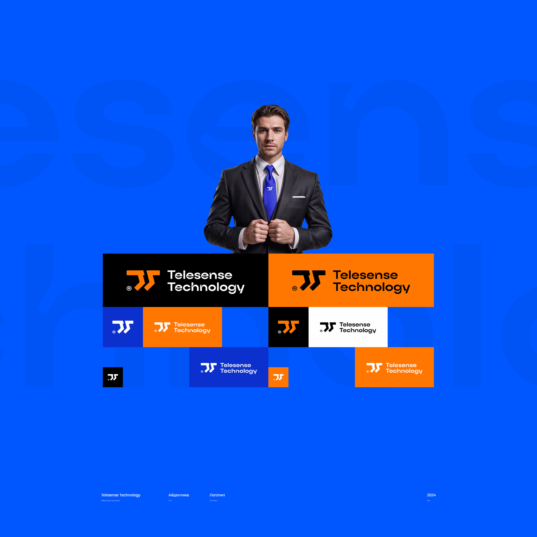 Telesense Technology / логотип — Изображение №4 — Брендинг на Dprofile