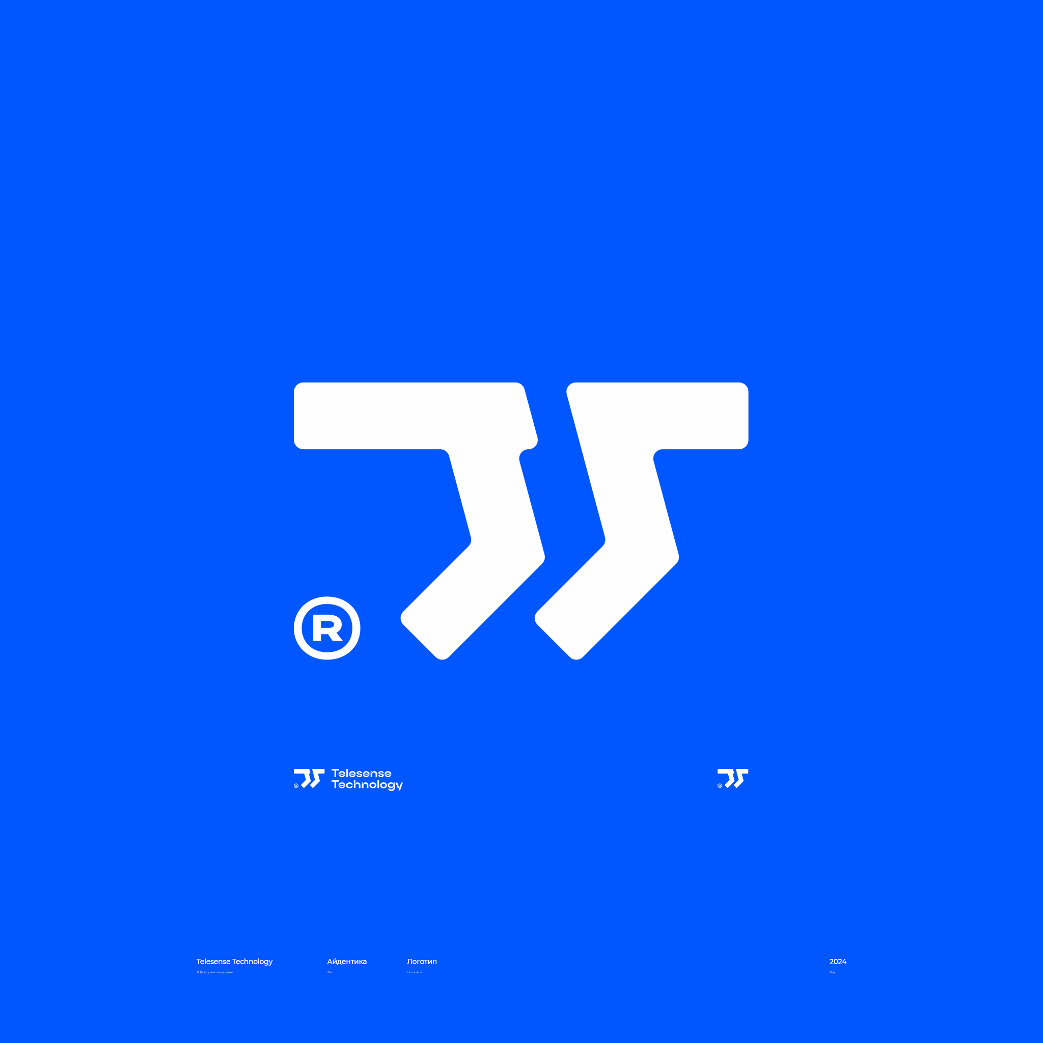 Telesense Technology / логотип — Изображение №6 — Брендинг на Dprofile