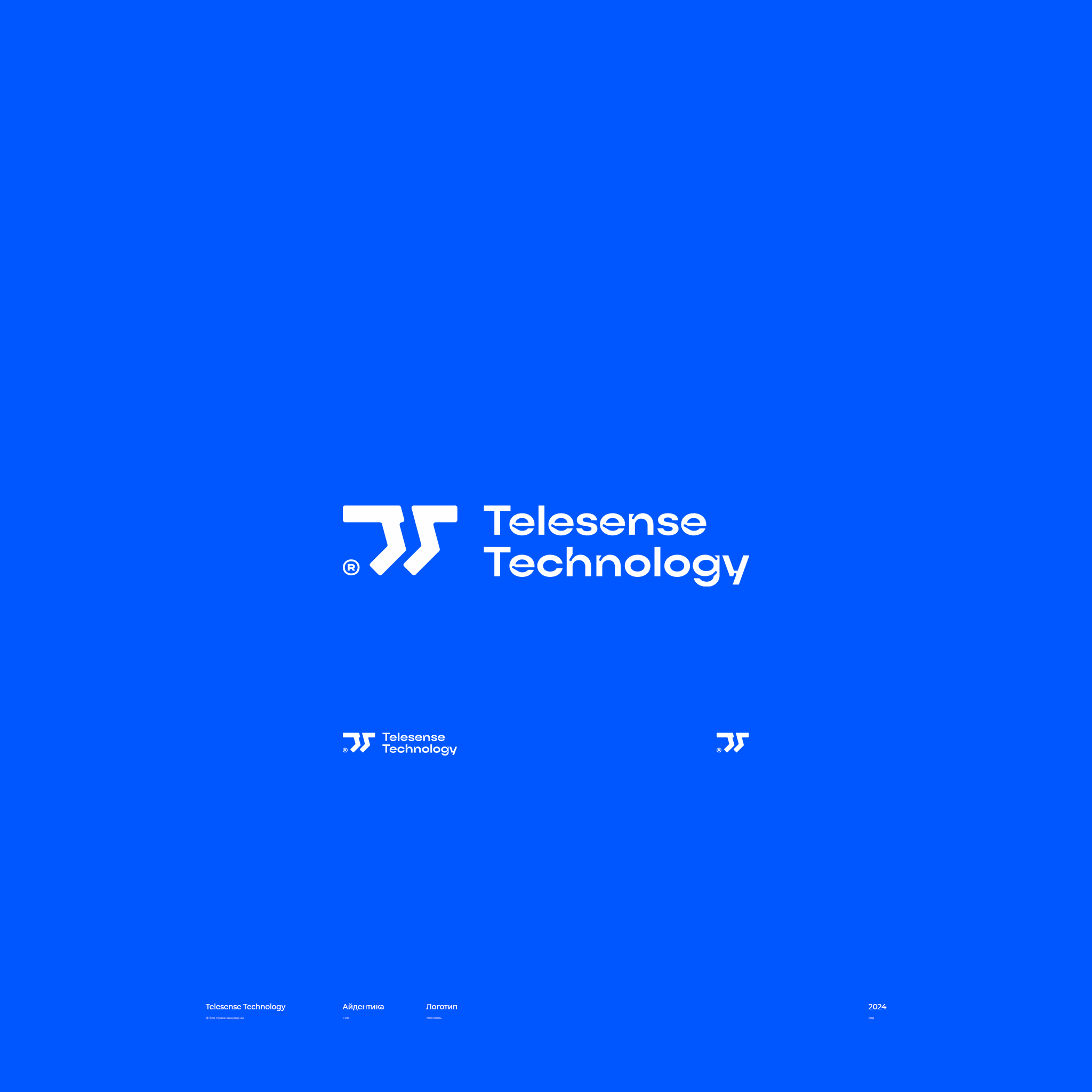 Telesense Technology / логотип — Изображение №1 — Брендинг на Dprofile