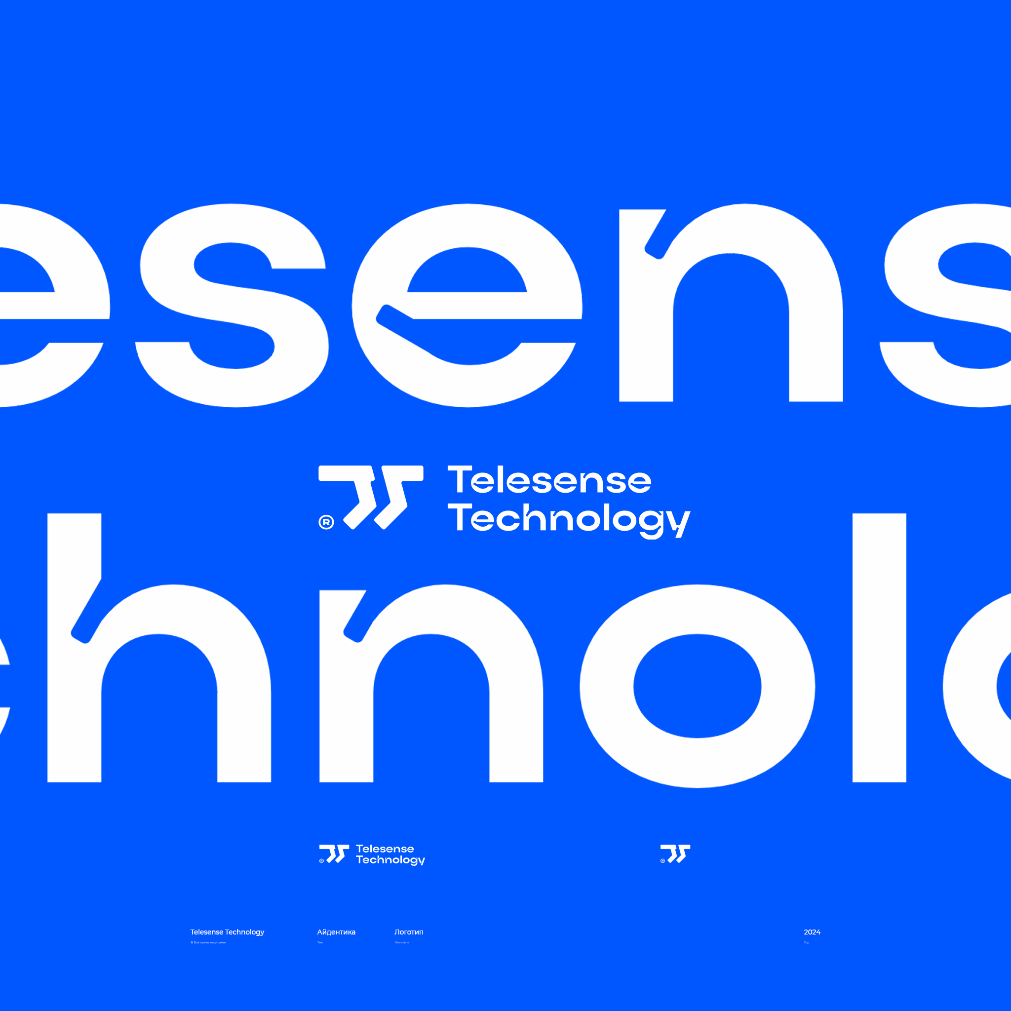 Telesense Technology / логотип — Изображение №3 — Брендинг на Dprofile