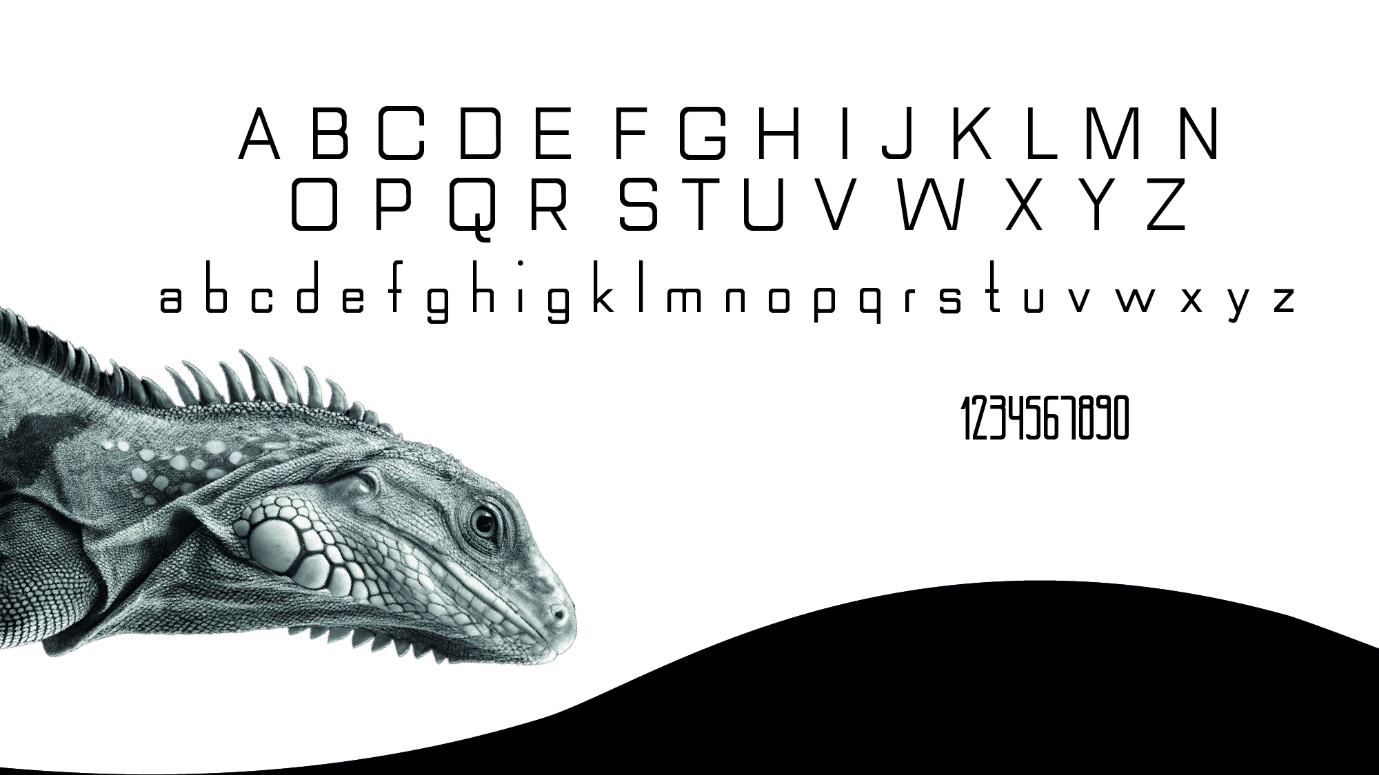 Шрифт IGUANAfont — Изображение №4 — Графика на Dprofile