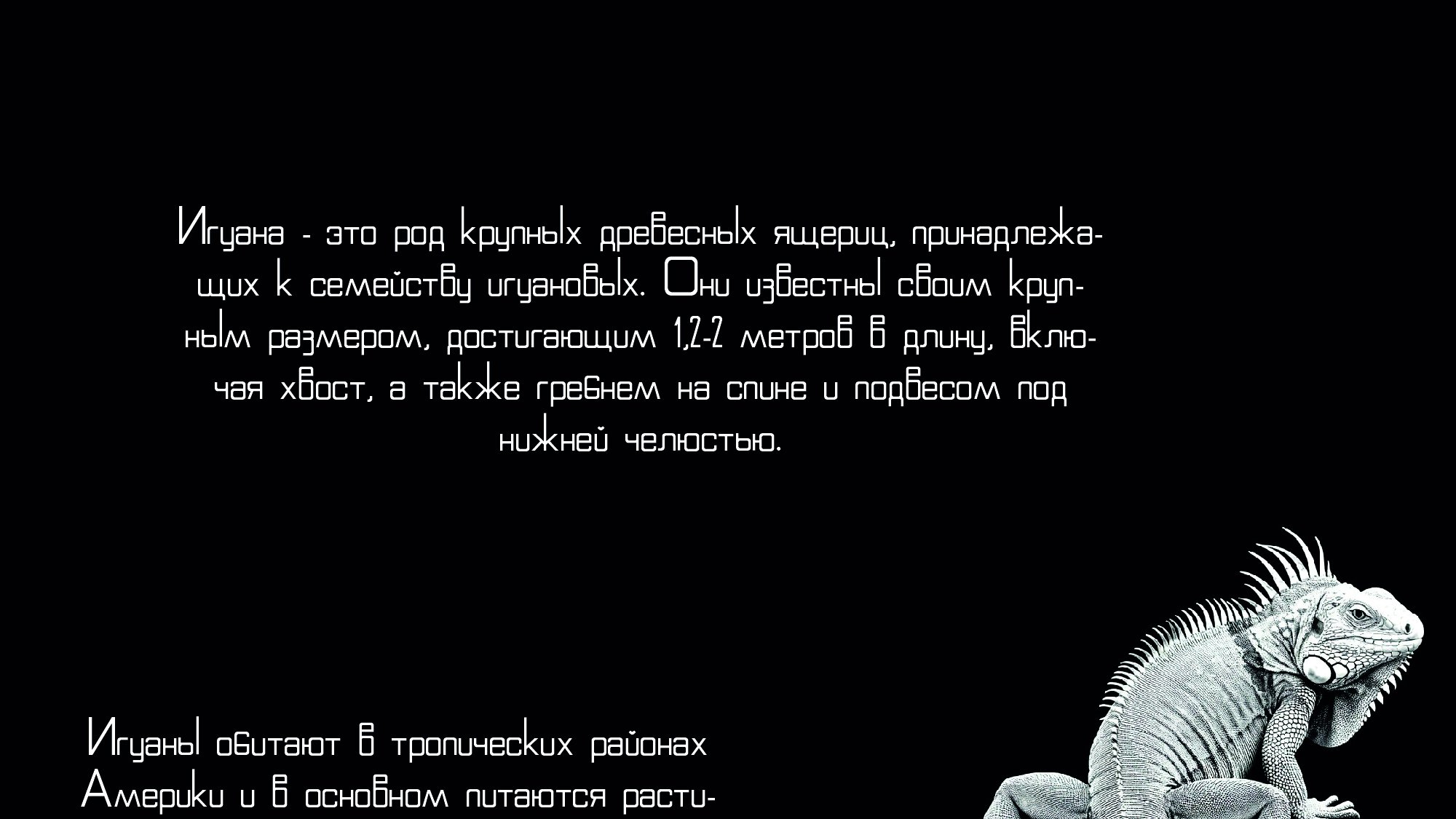 Шрифт IGUANAfont — Изображение №5 — Графика на Dprofile