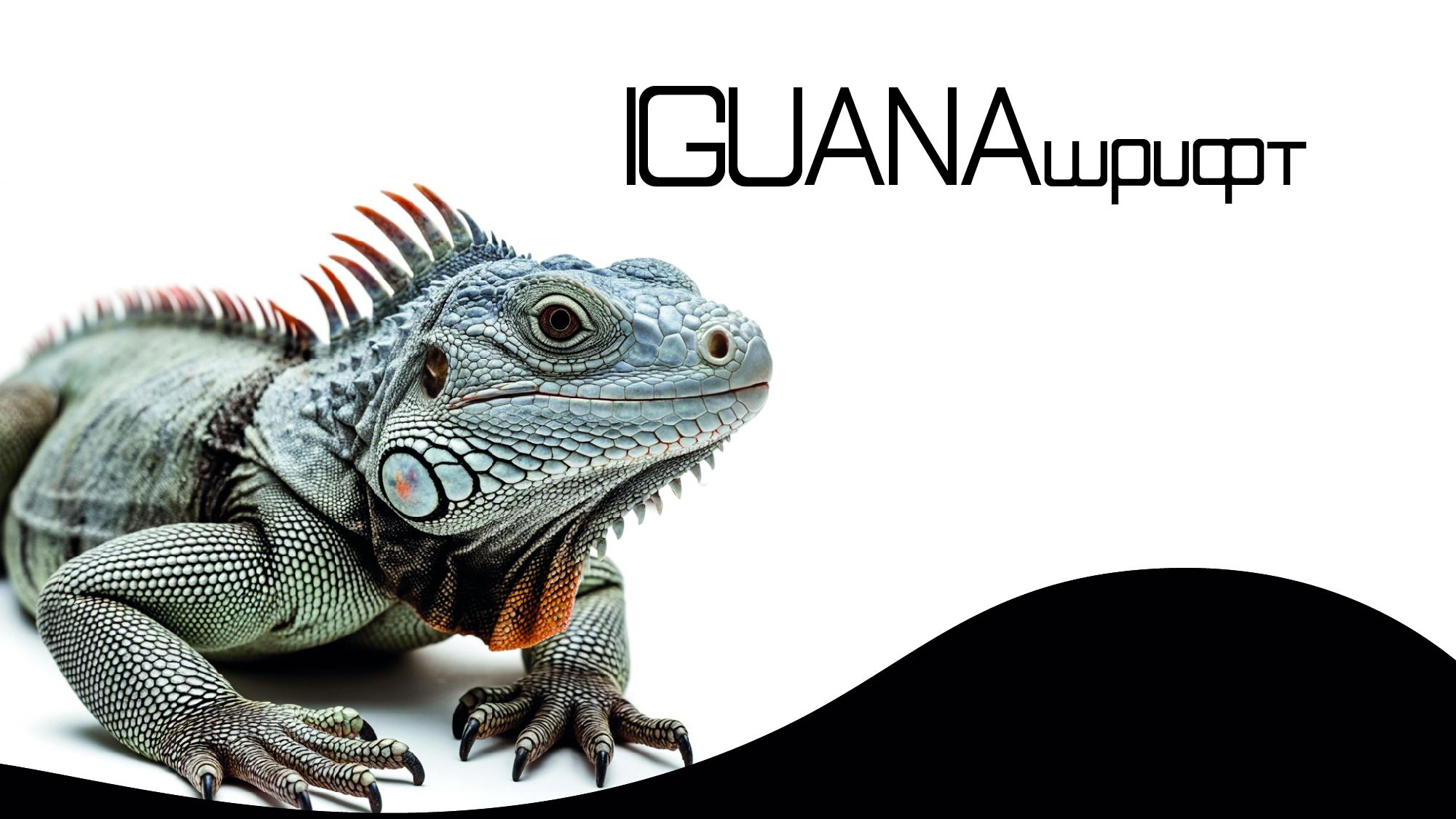Шрифт IGUANAfont — Изображение №1 — Графика на Dprofile
