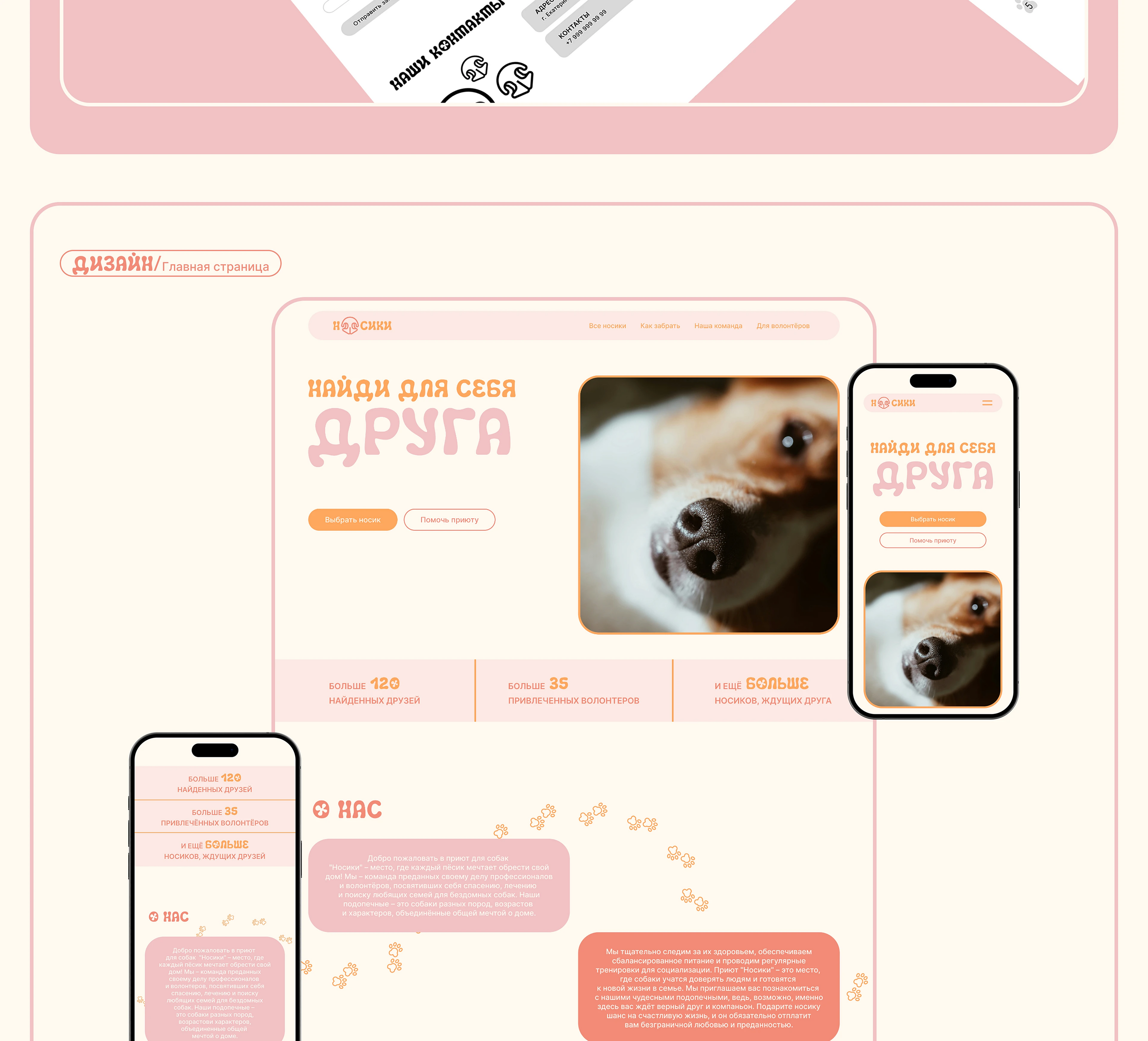 Сайт приюта для собак | Dog shelter Website — Изображение №5 — Интерфейсы на Dprofile