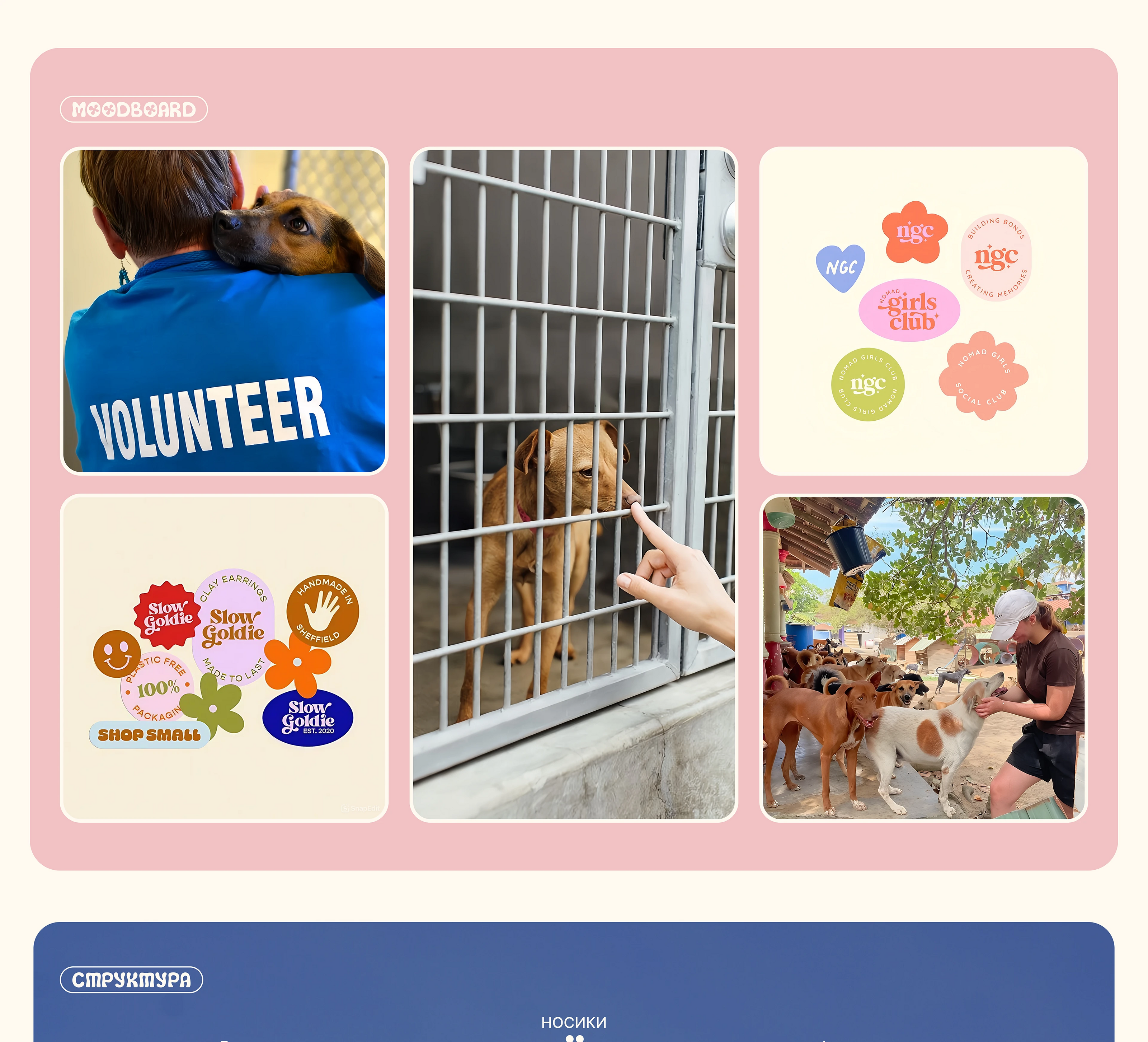 Сайт приюта для собак | Dog shelter Website — Изображение №3 — Интерфейсы на Dprofile