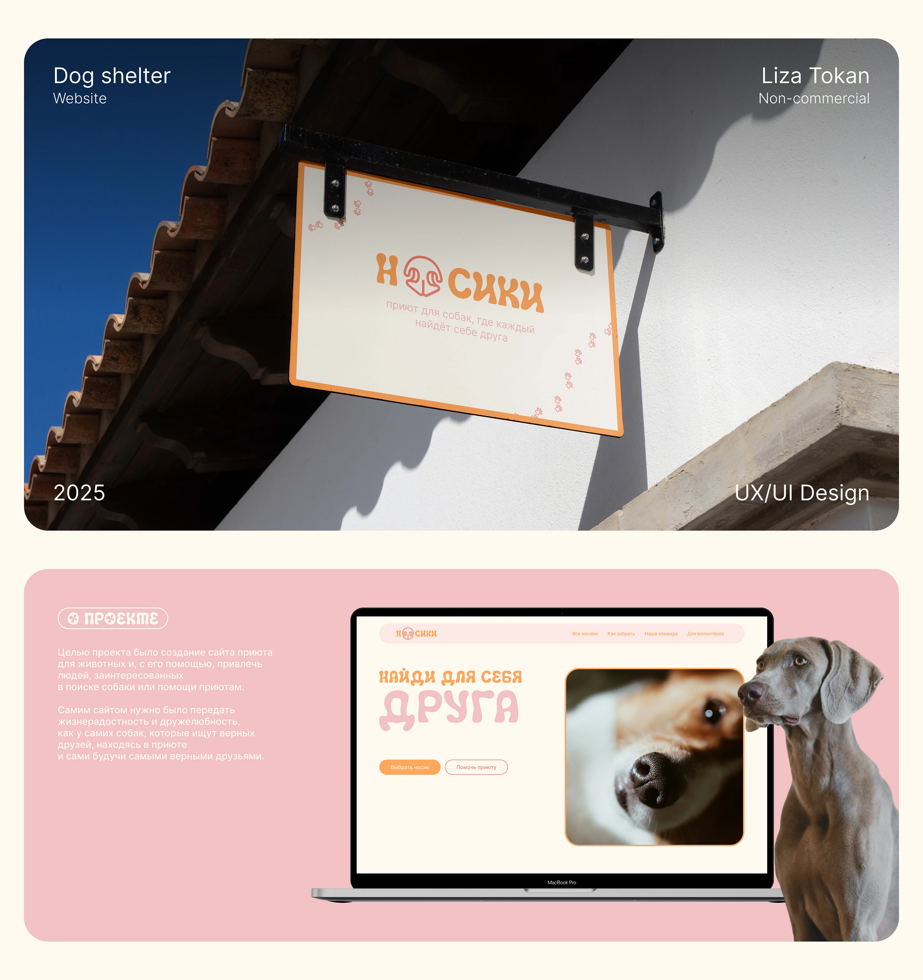 Сайт приюта для собак | Dog shelter Website — Изображение №1 — Интерфейсы на Dprofile