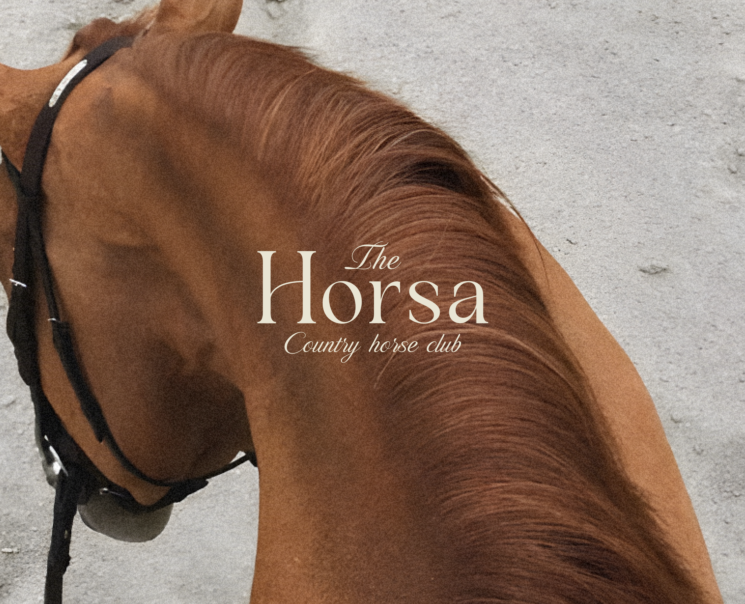 Hórsa - Brand Identity на Dprofile