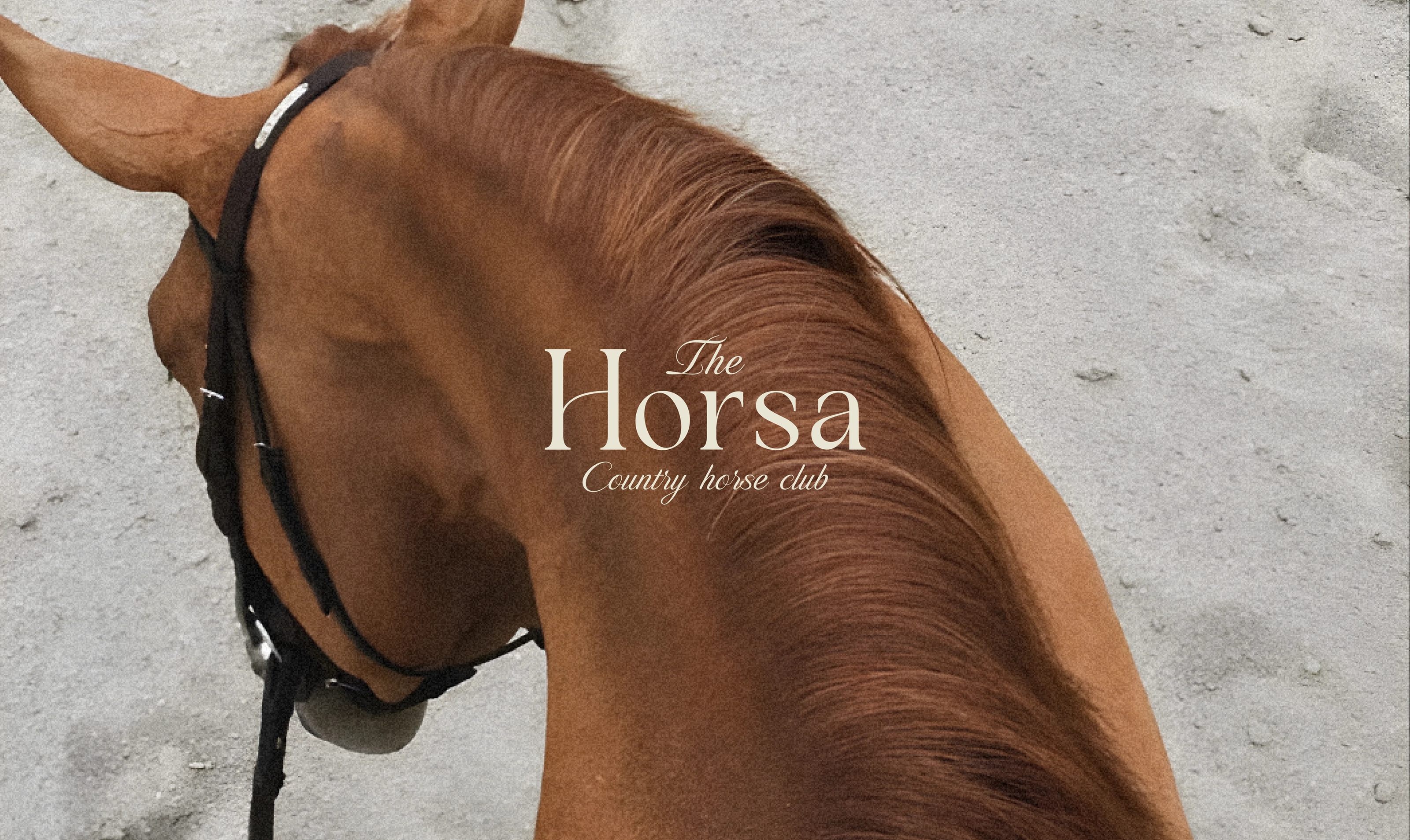 Hórsa - Brand Identity — Изображение №1 — Брендинг на Dprofile