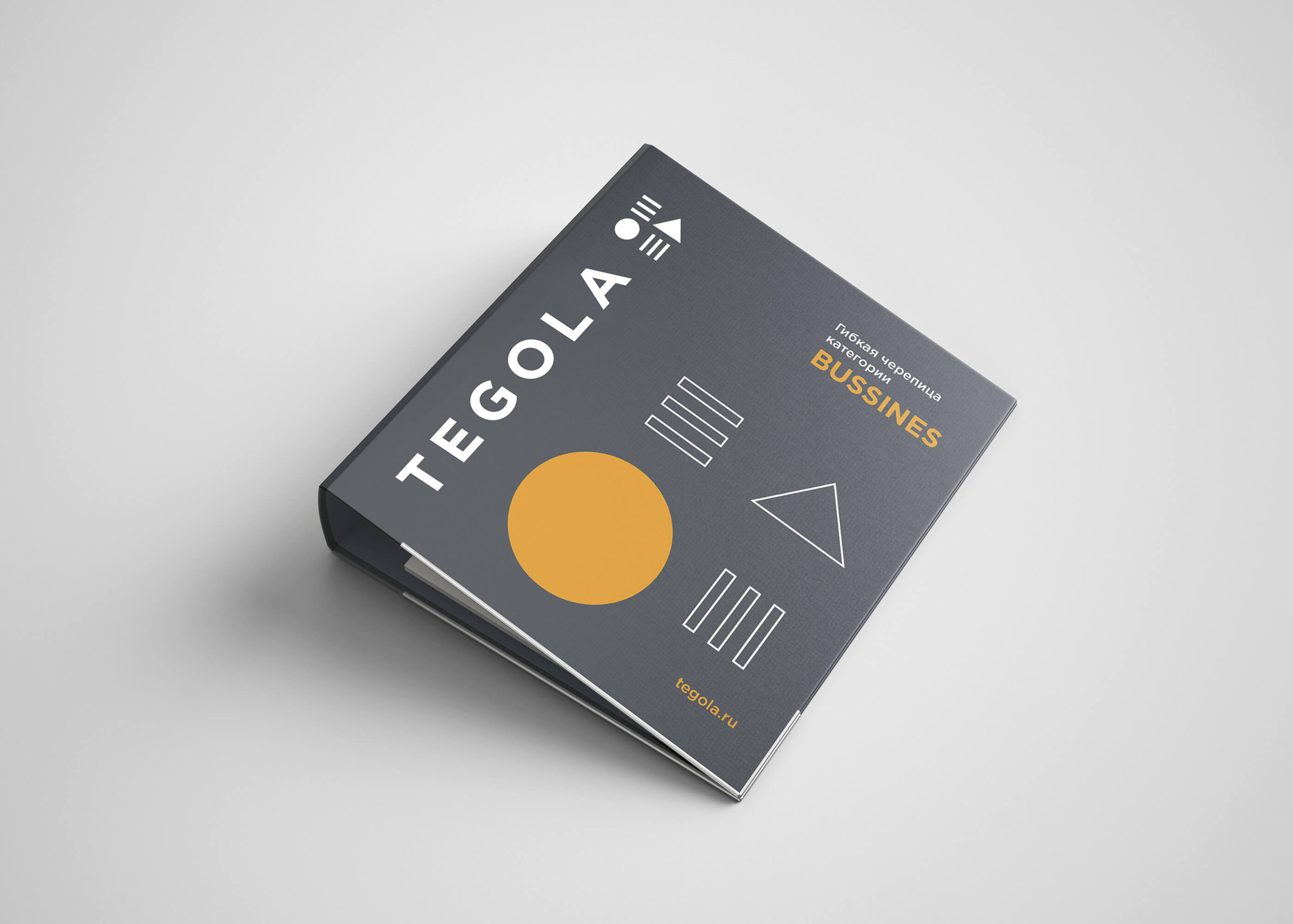 TEGOLA — Изображение №12 — Брендинг на Dprofile