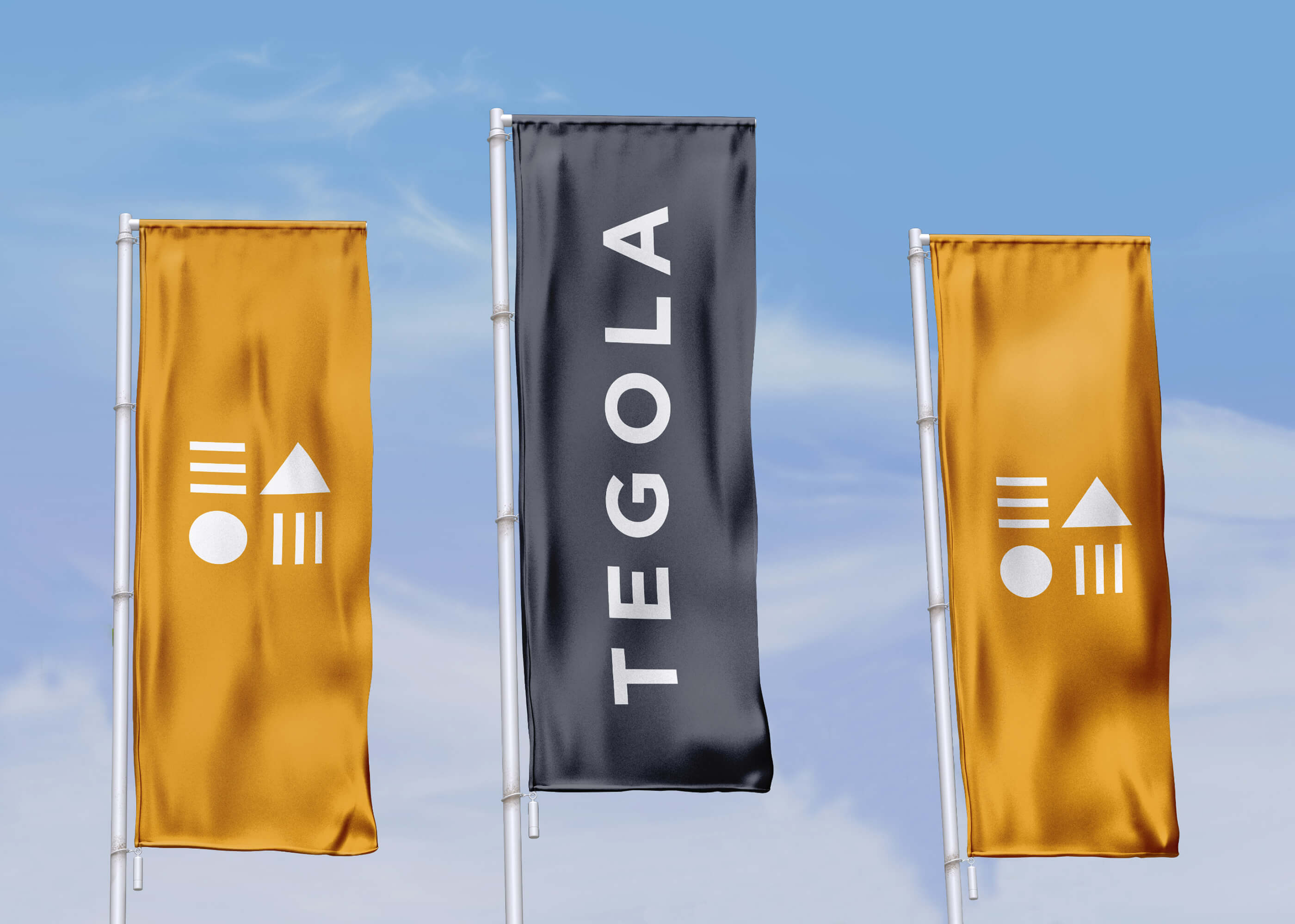 TEGOLA — Изображение №13 — Брендинг на Dprofile