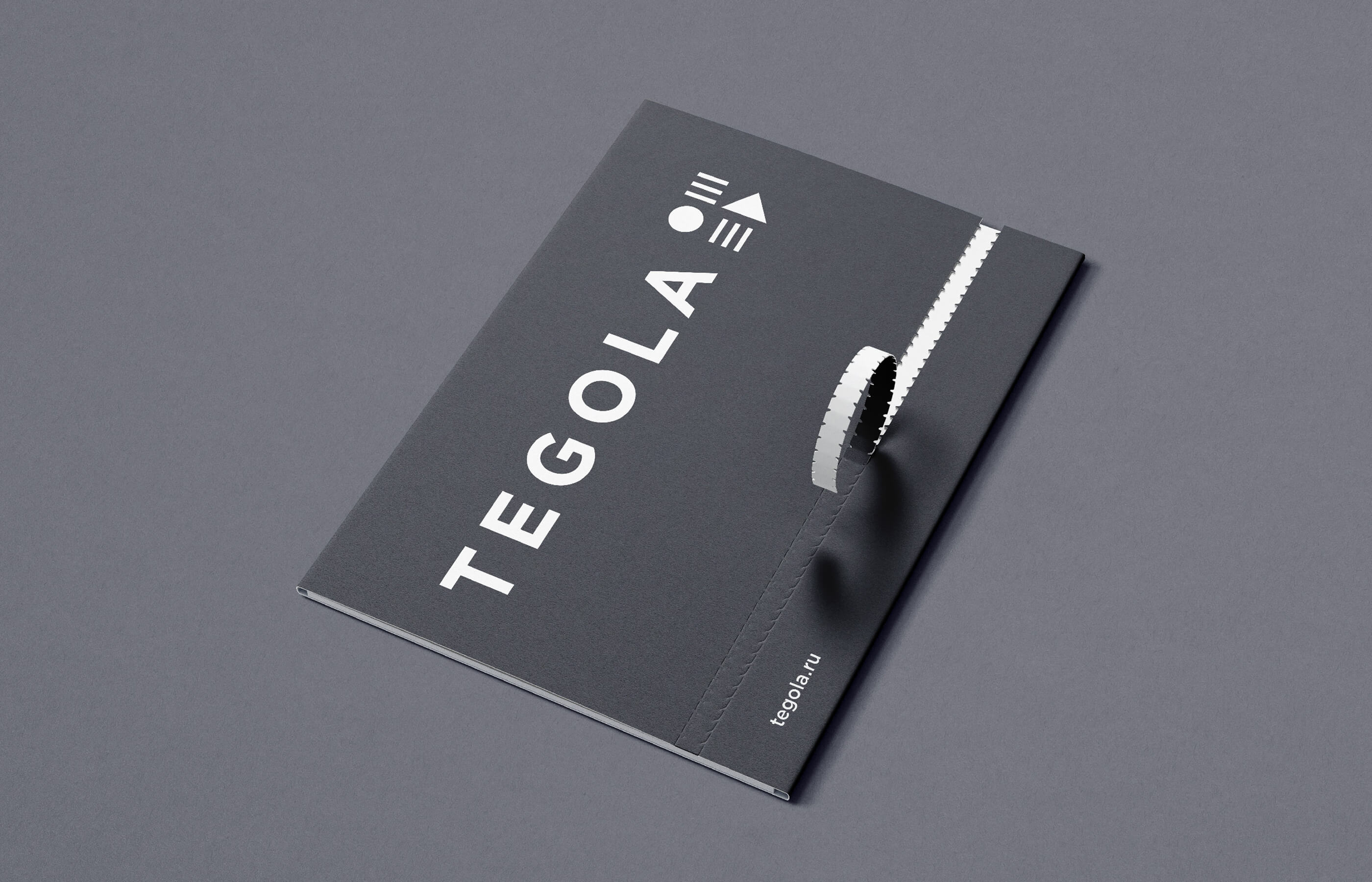 TEGOLA — Изображение №4 — Брендинг на Dprofile