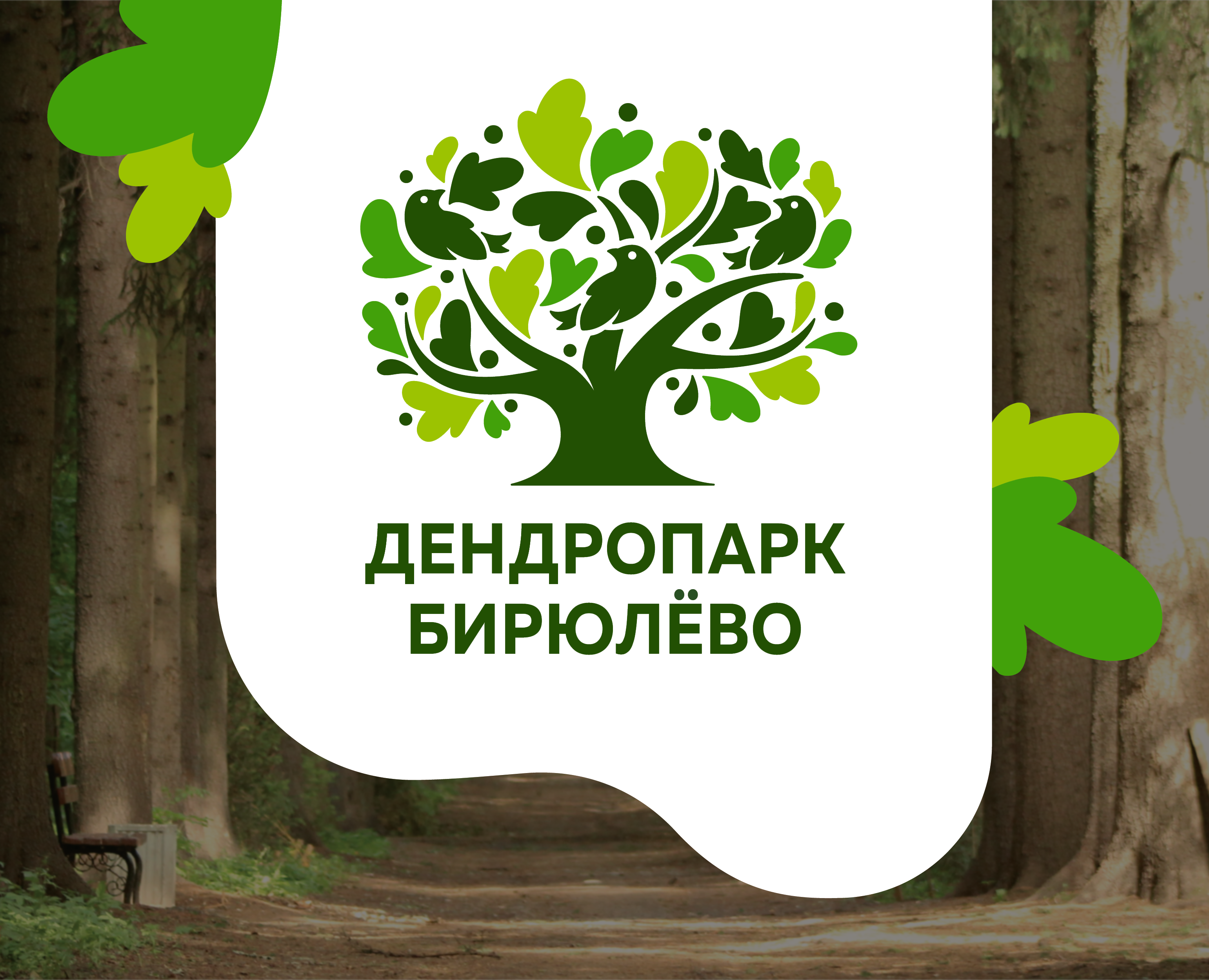Навигация Бирюлёвского дендропарка на Dprofile