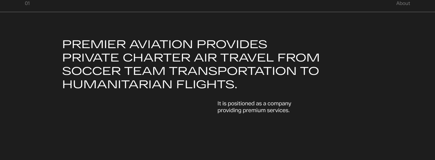 Premier Aviation — Изображение №2 — Интерфейсы на Dprofile