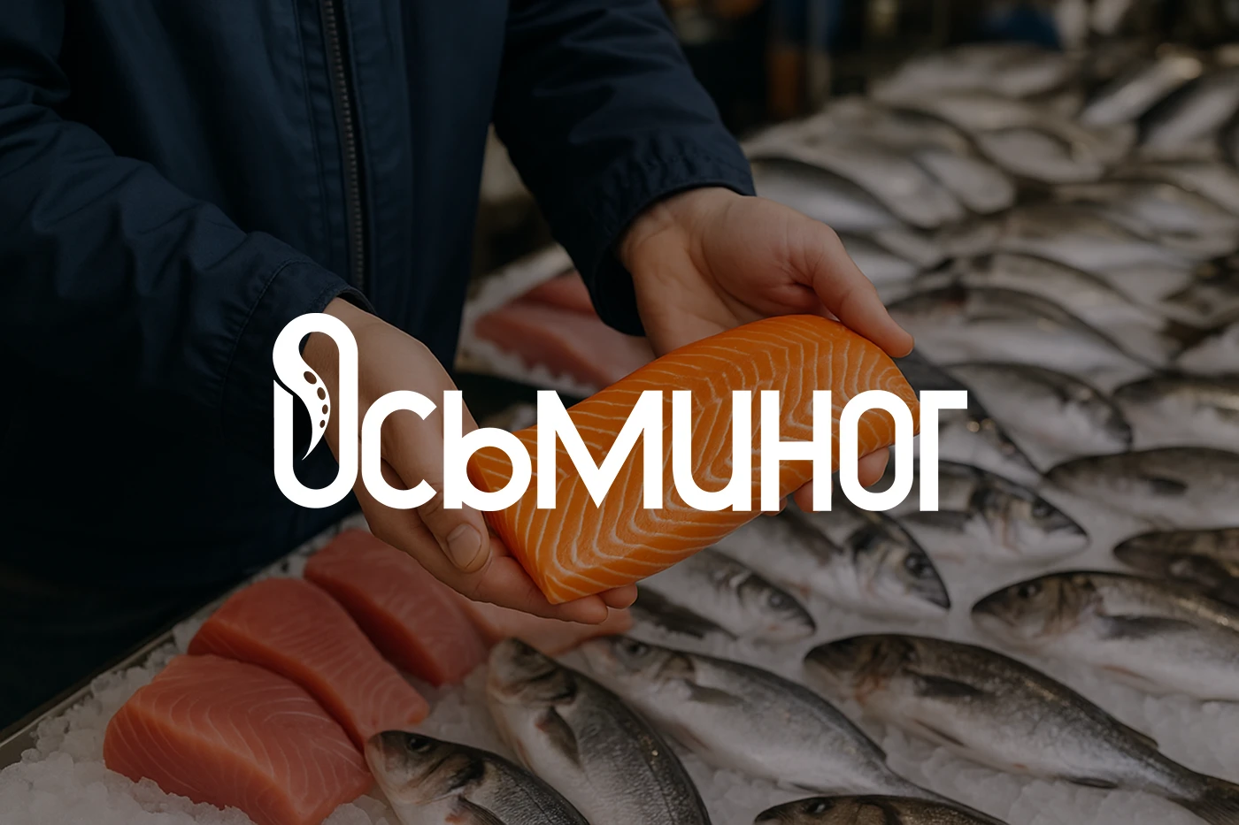 Айдентика для компании «Осьминог» — Изображение №7 — Брендинг на Dprofile