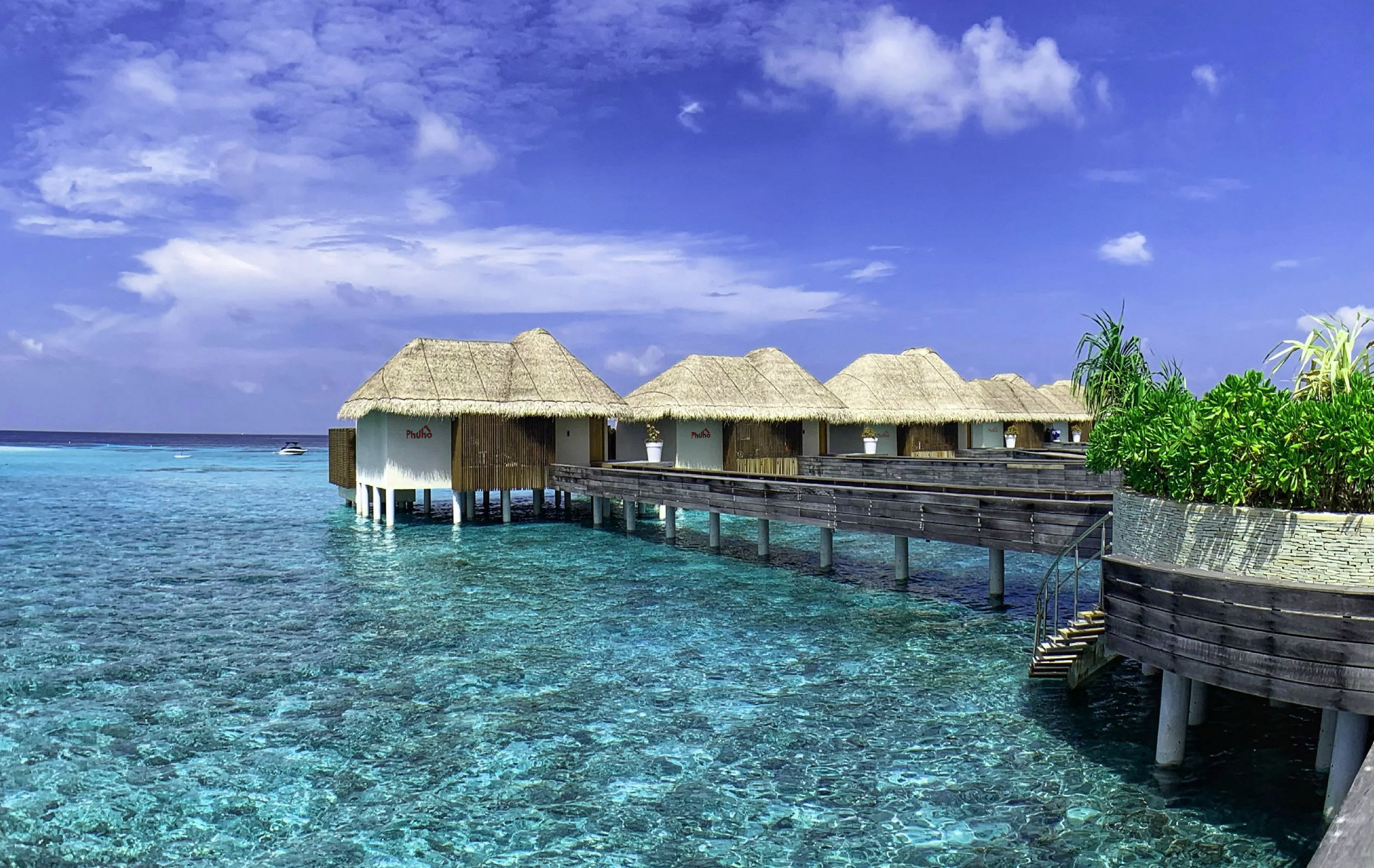 Логотип Phuho — Изображение №5 — Брендинг, Графика на Dprofile