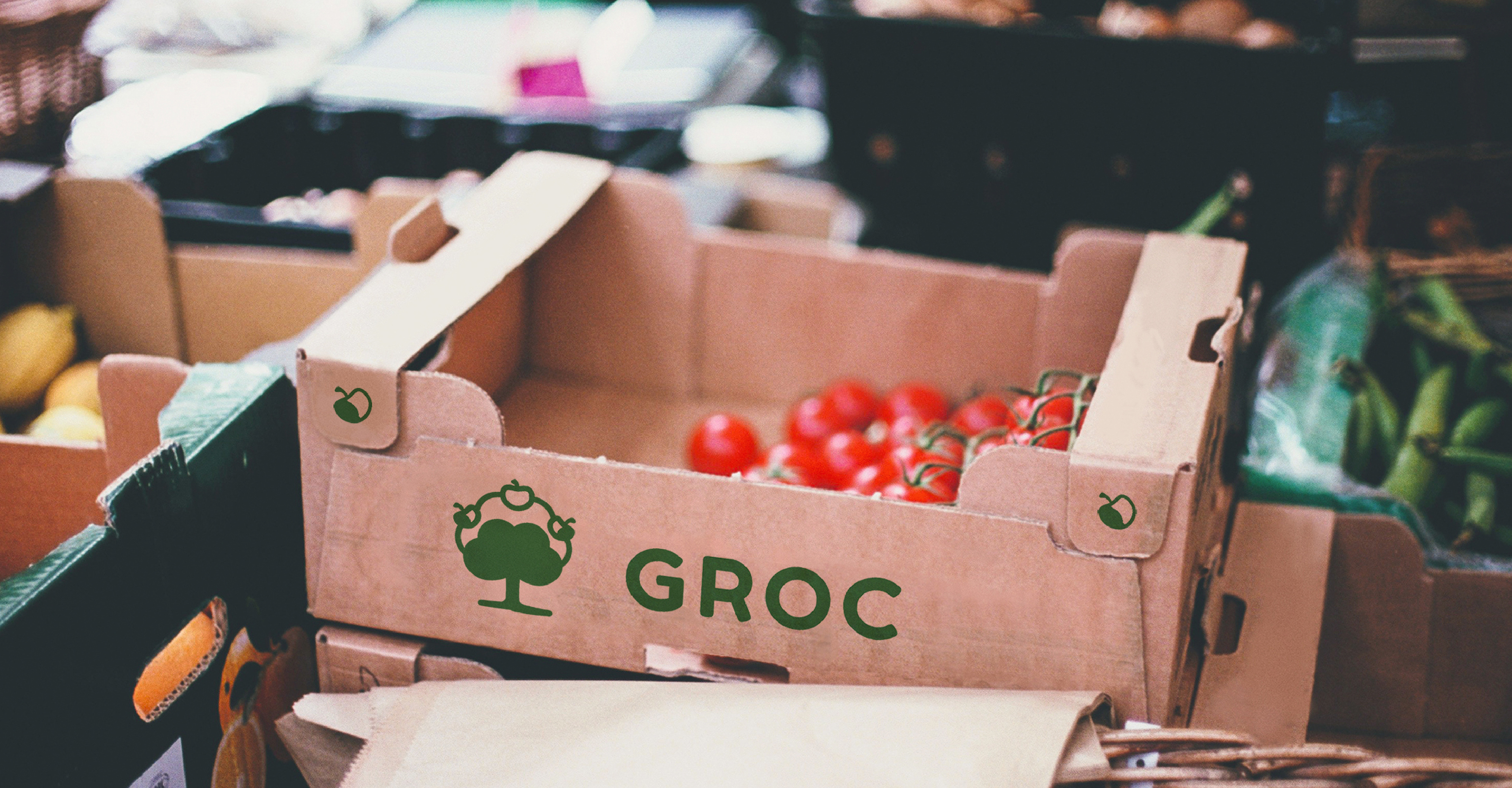 Логотип Groc — Изображение №5 — Брендинг, Графика на Dprofile