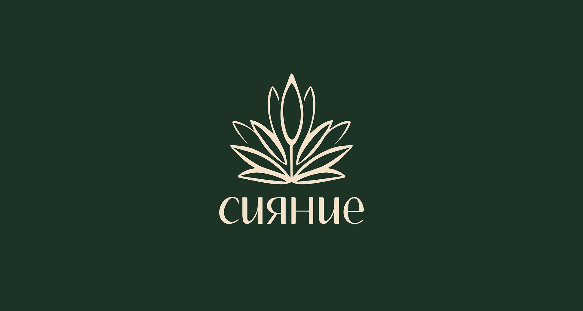 Брендинг Сияние — Изображение №2 — Брендинг, Графика на Dprofile