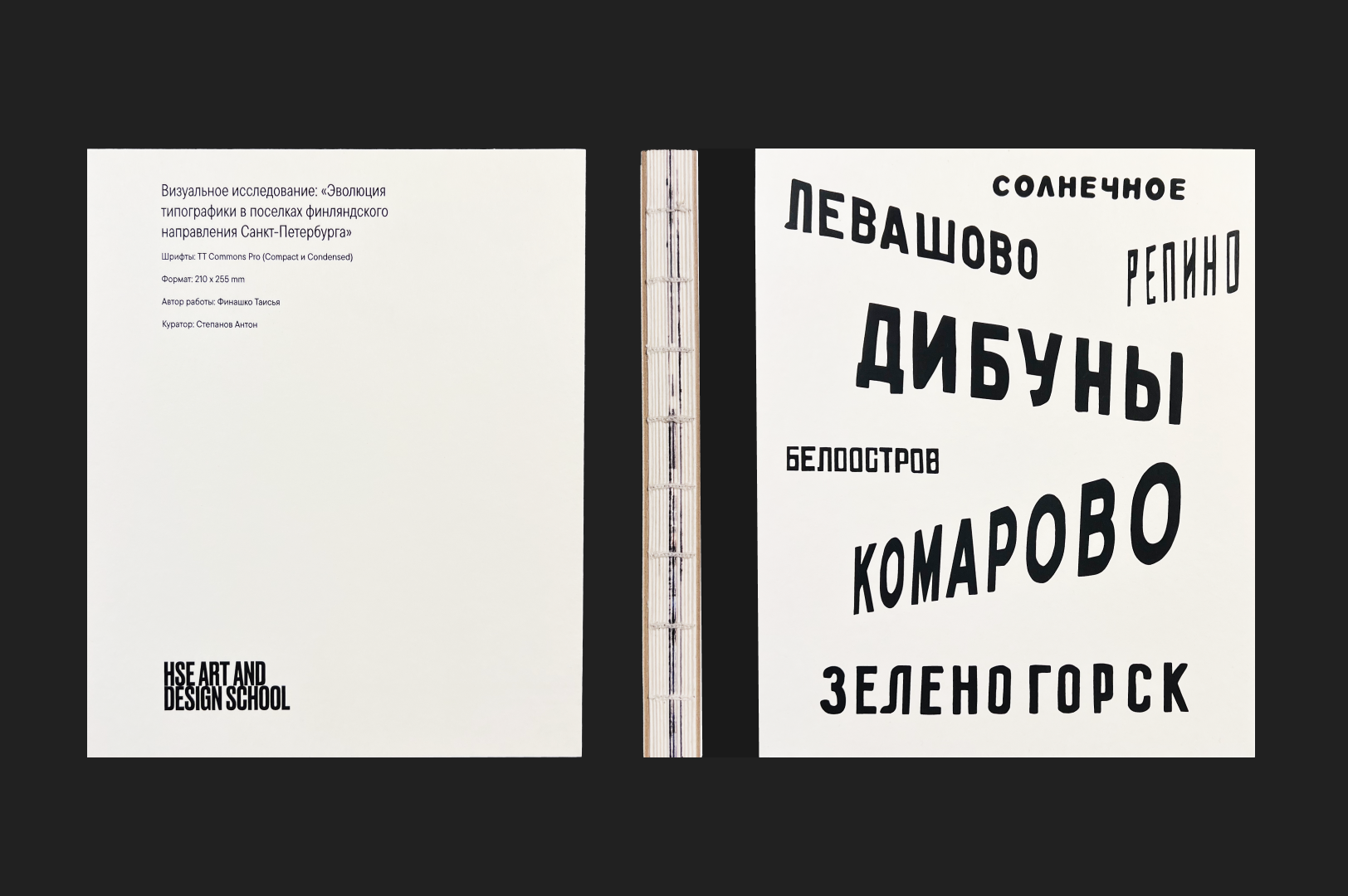Эволюция типографики в посёлках финляндского направления СПб — Изображение №3 — Графика на Dprofile