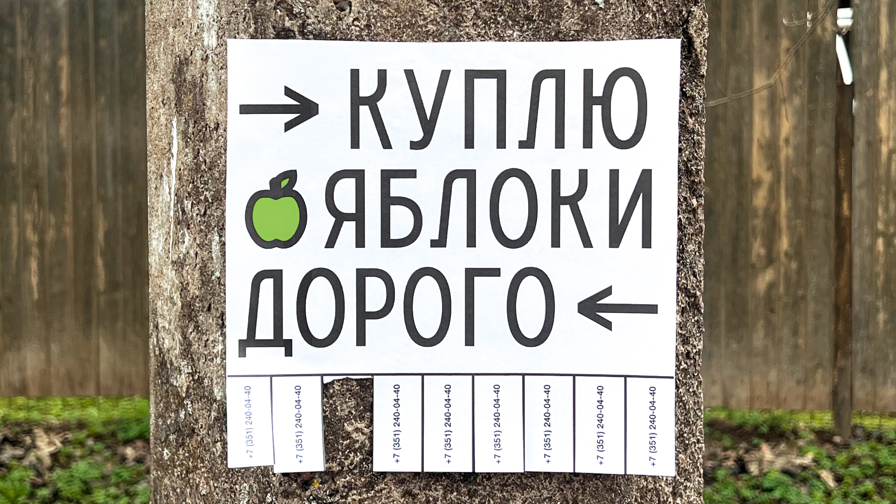 Территориальный брендинг для посёлка Левашово — Изображение №8 — Брендинг на Dprofile