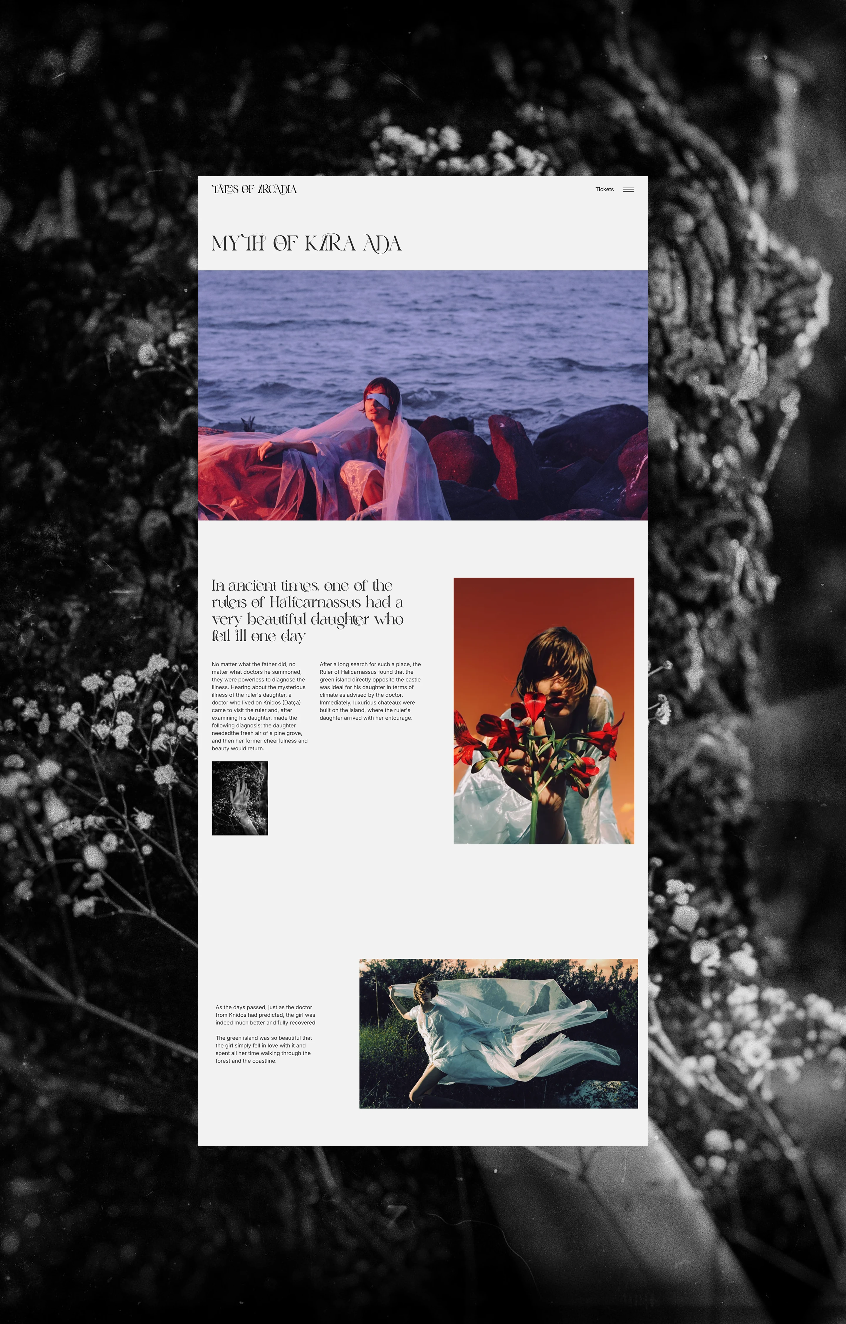 Tales of Arcadia | Web | Art & music Festival — Изображение №6 — Интерфейсы, Графика на Dprofile