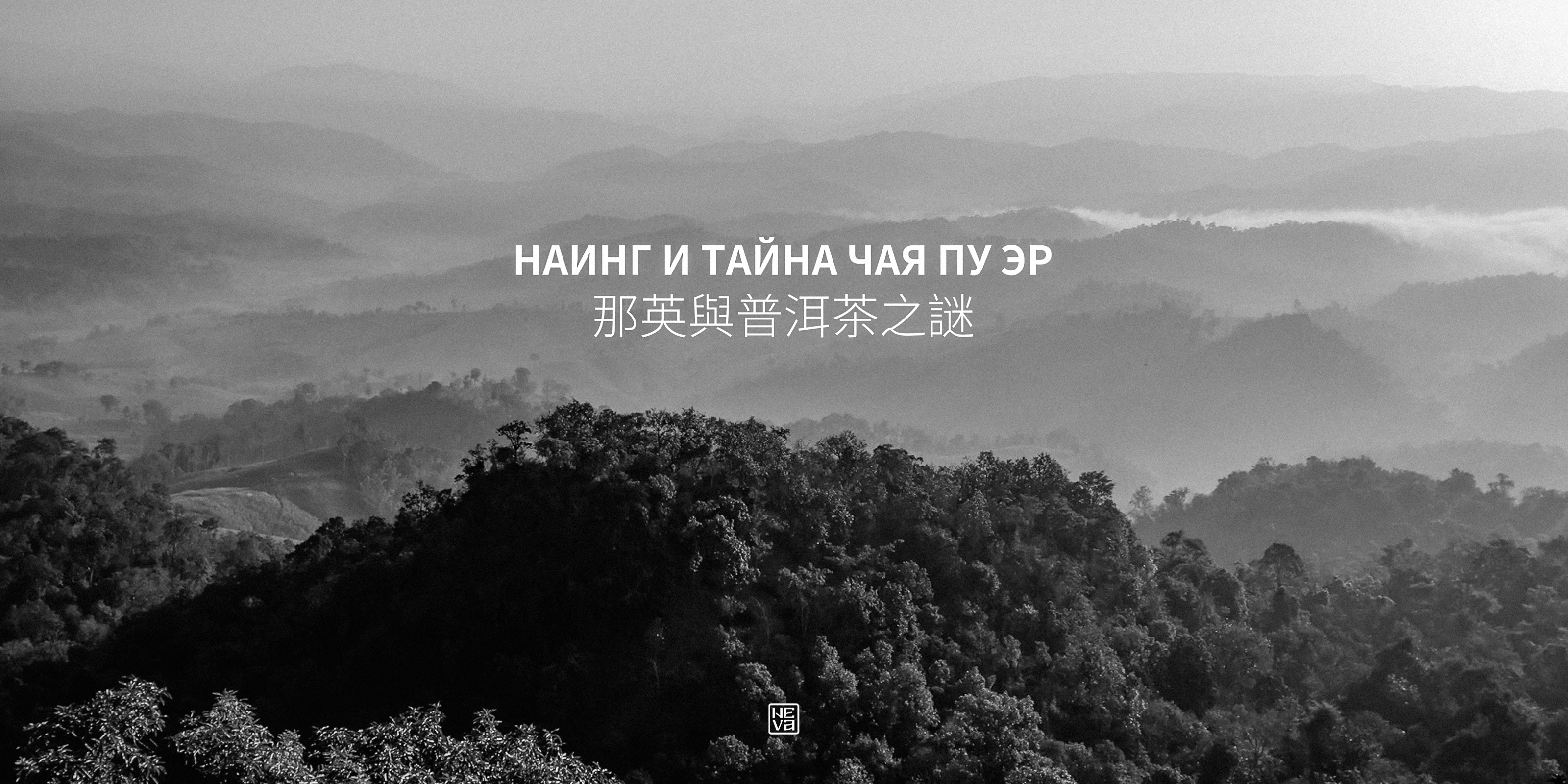 Наинг и Тень Короля — Изображение №1 — Брендинг, Графика на Dprofile