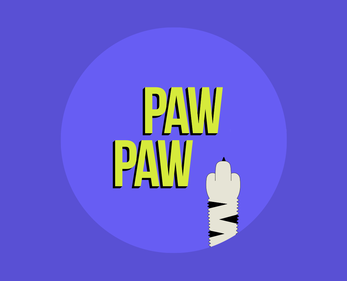 PAW PAW (адресники для домашних питомцев) — Брендинг на Dprofile