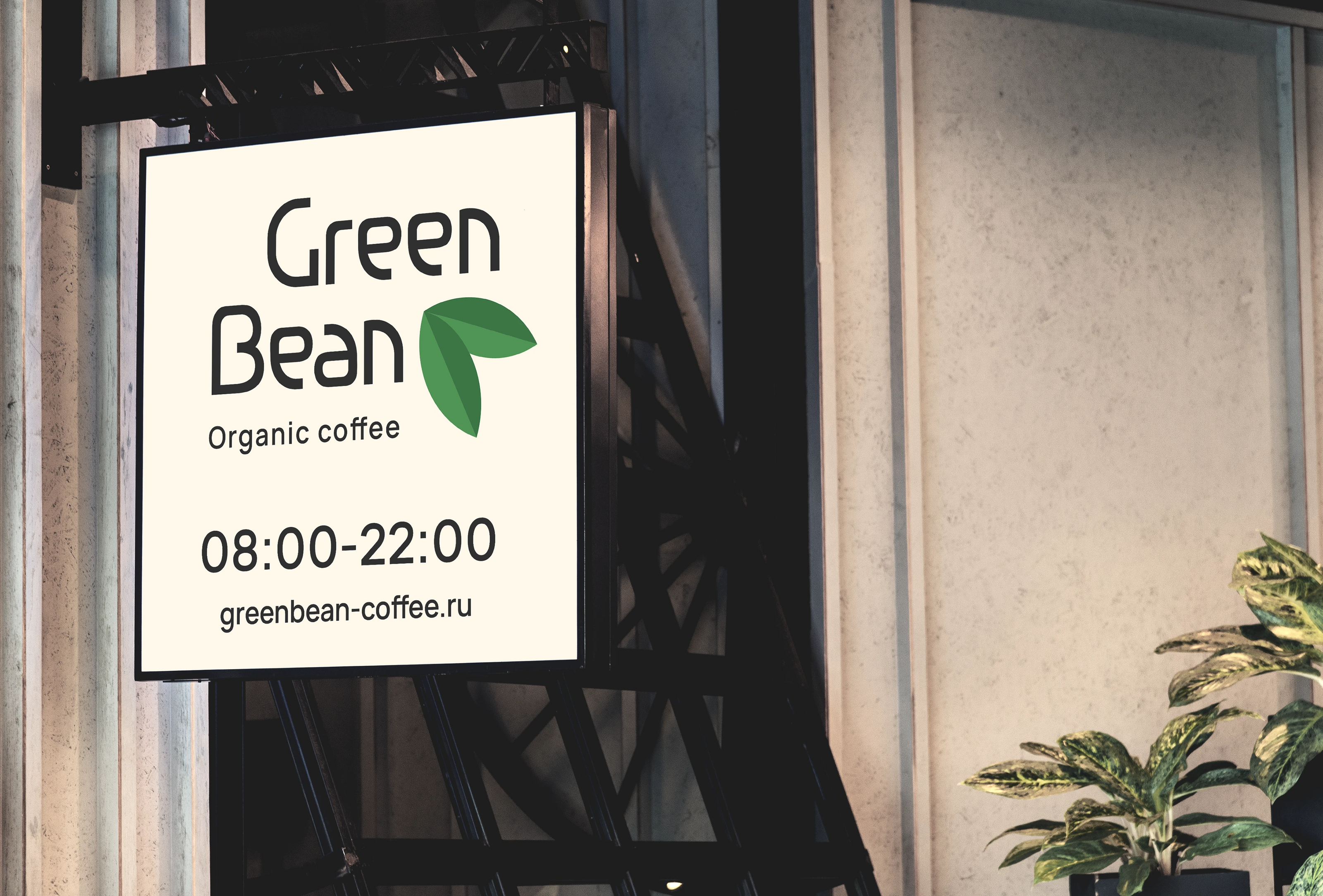 Green Bean (органический кофе) — Изображение №7 — Брендинг на Dprofile