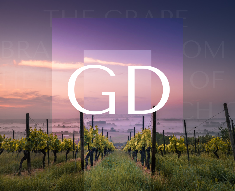 Grape doctor — Интерфейсы на Dprofile