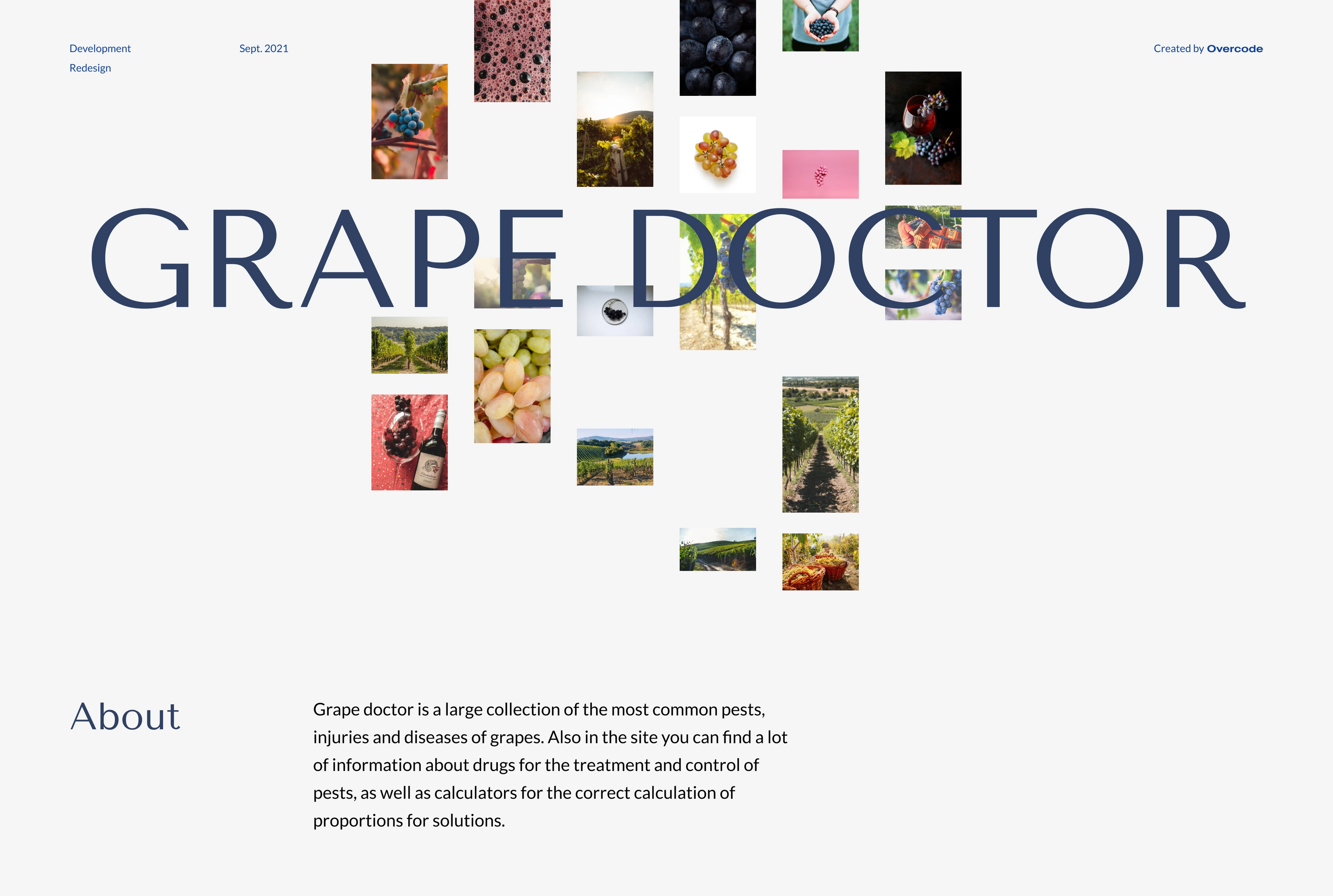 Grape doctor — Изображение №1 — Интерфейсы на Dprofile