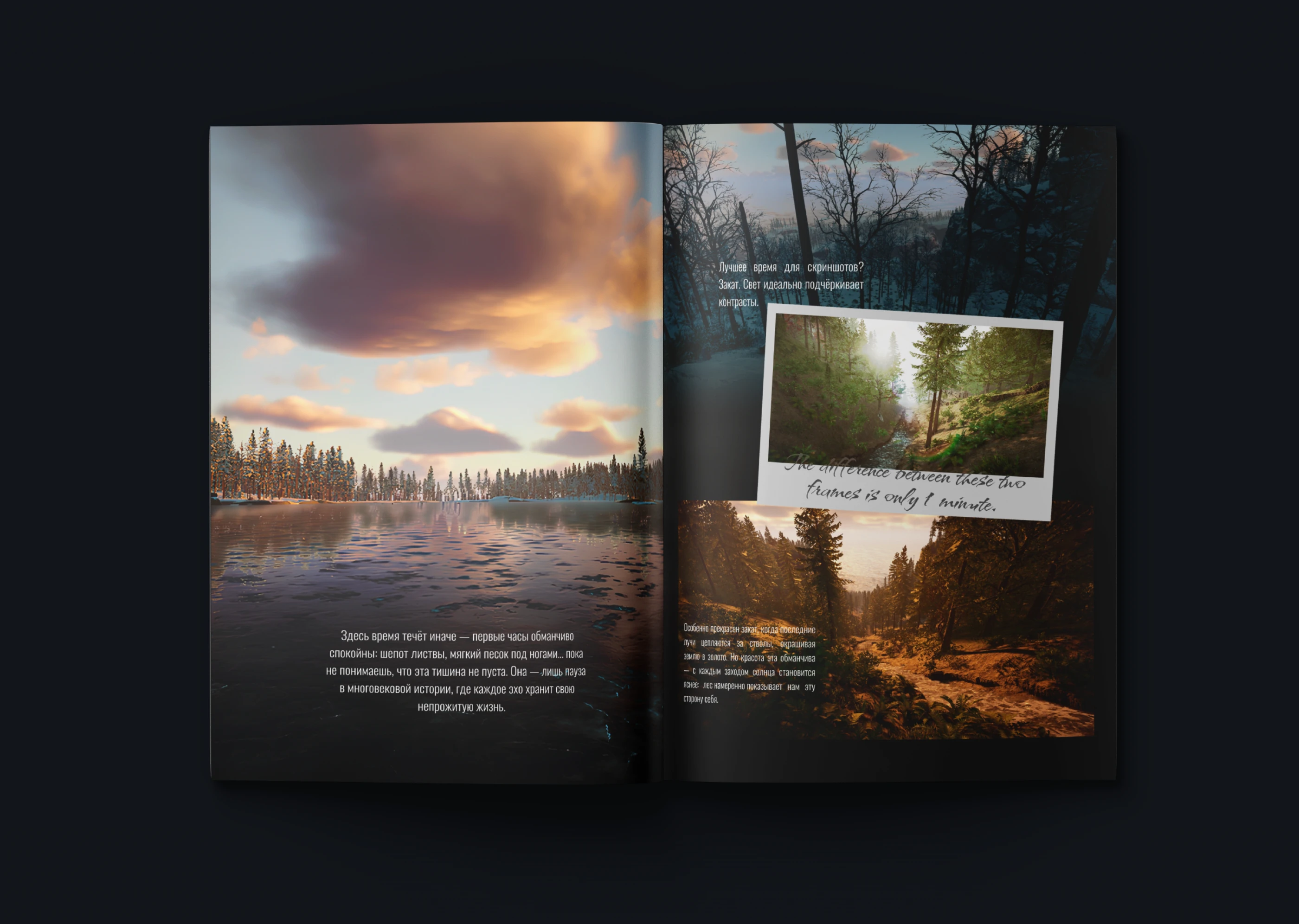 Журнал Sons of the Forest — Изображение №6 — Графика на Dprofile