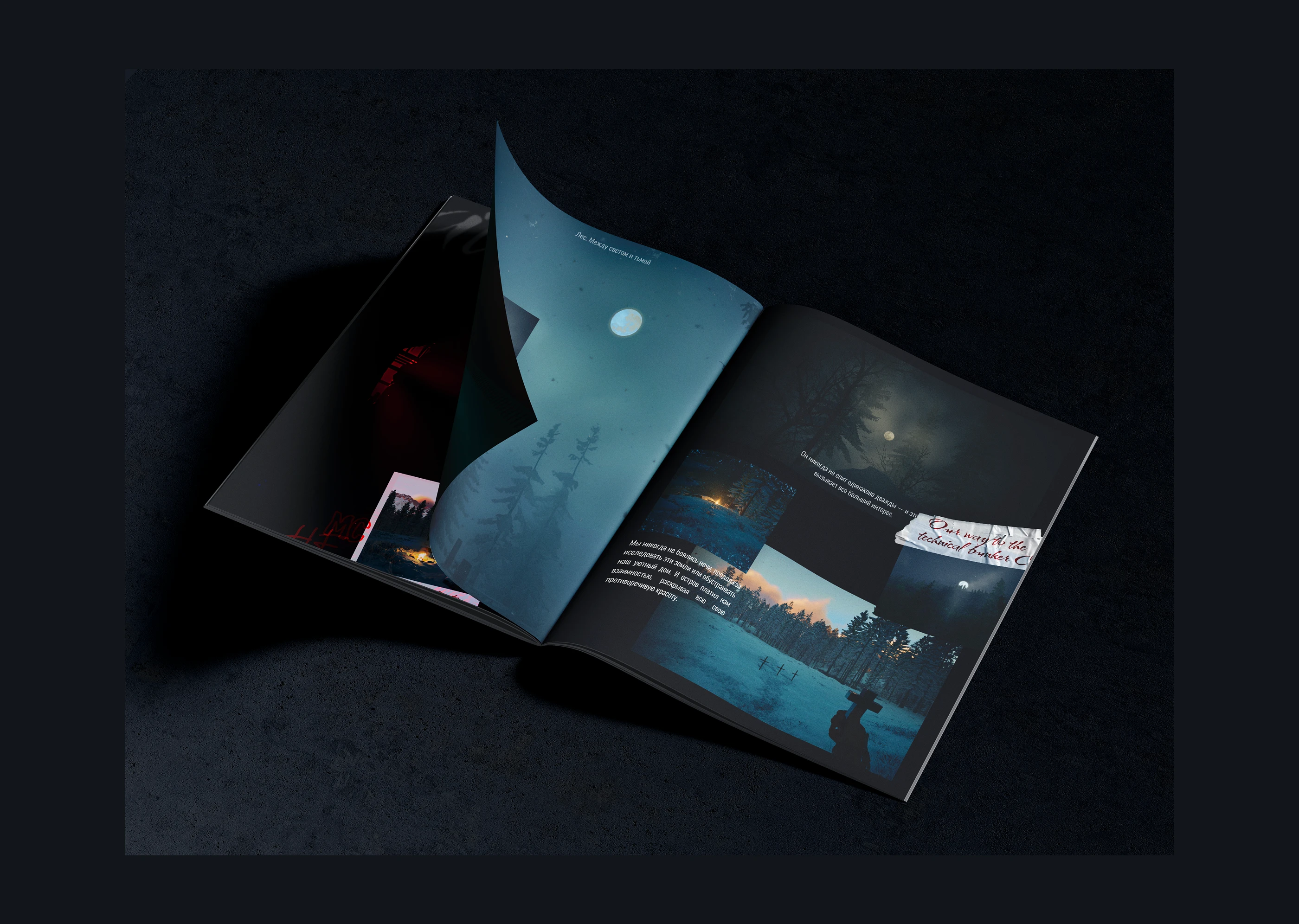 Журнал Sons of the Forest — Изображение №5 — Графика на Dprofile