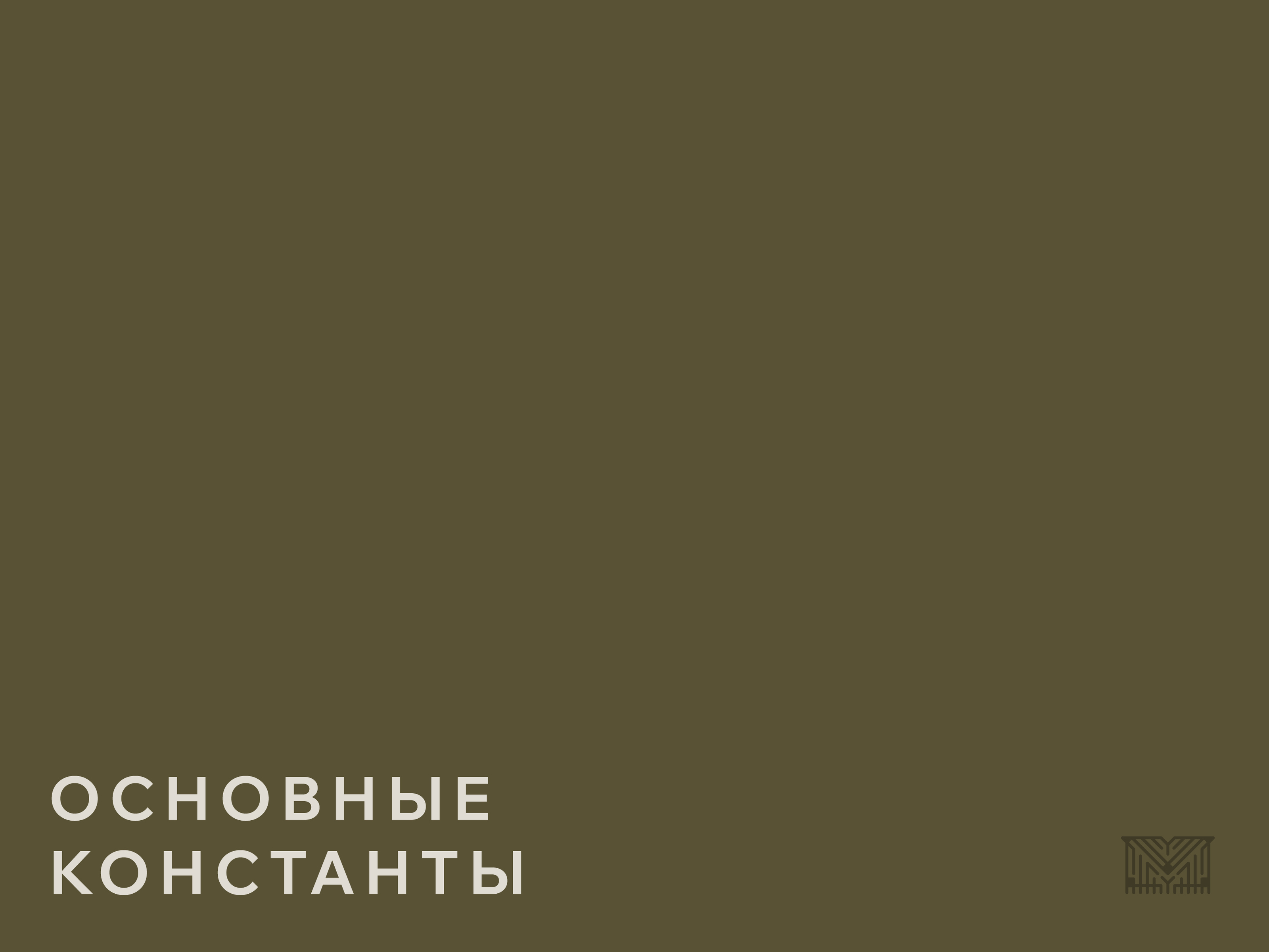Брендбук. Brandbook. Фирменный стиль. Логотип. Ковры. — Изображение №6 — Брендинг на Dprofile