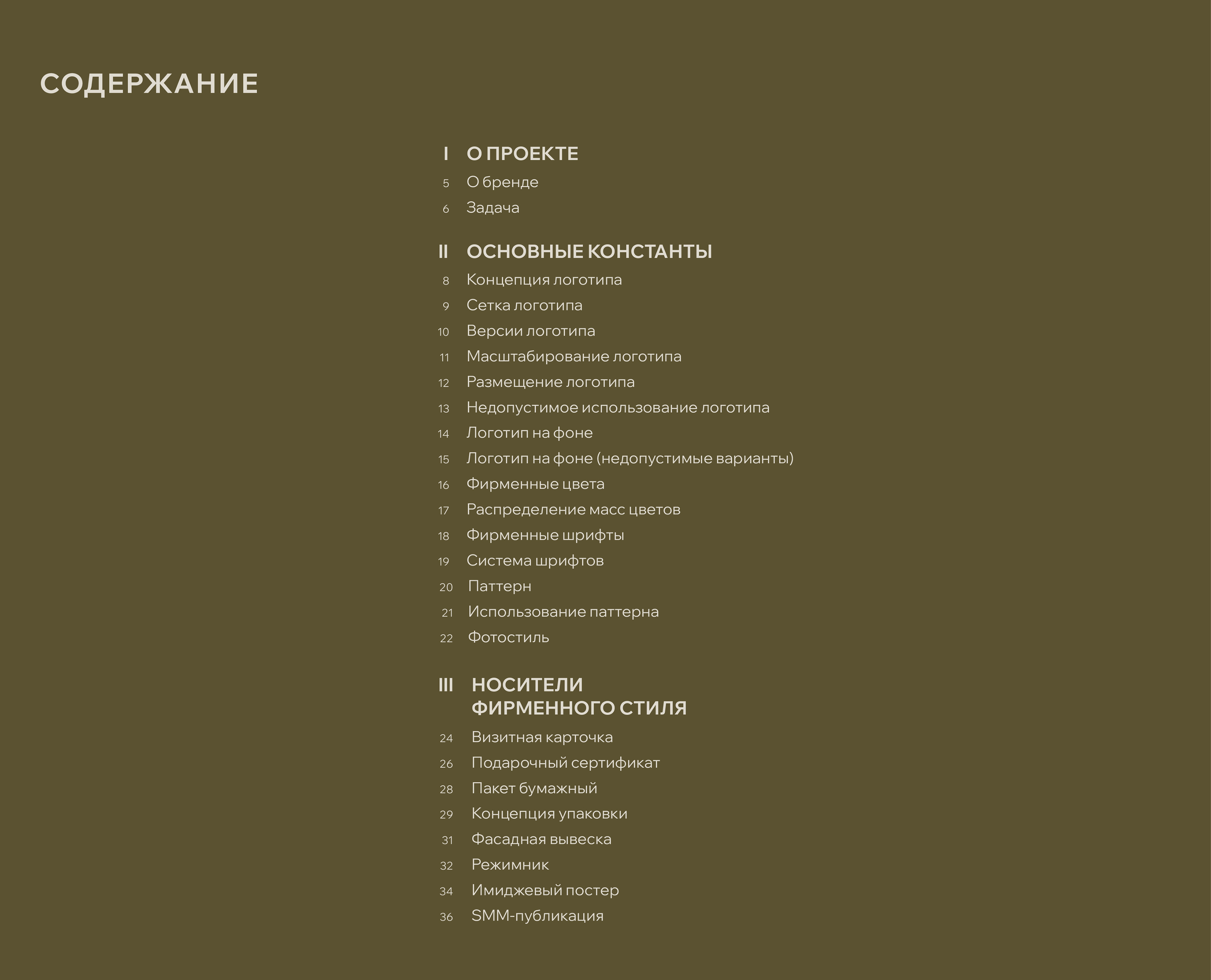Брендбук. Brandbook. Фирменный стиль. Логотип. Ковры. — Изображение №4 — Брендинг на Dprofile