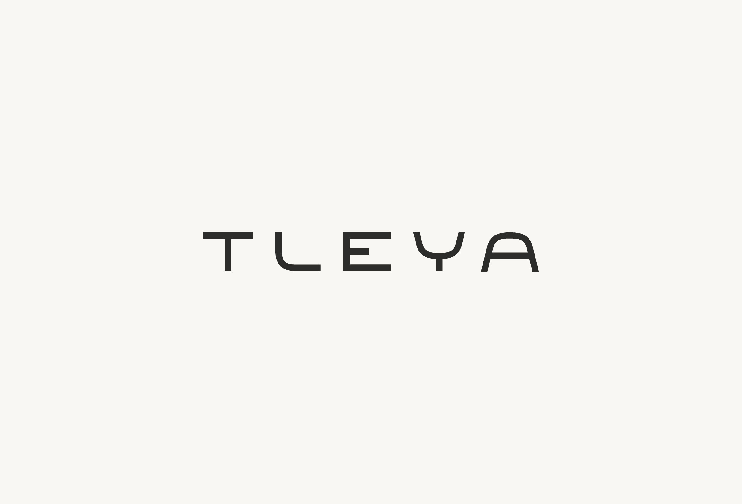 TLEYA логотип для бренда — Изображение №2 — Брендинг на Dprofile