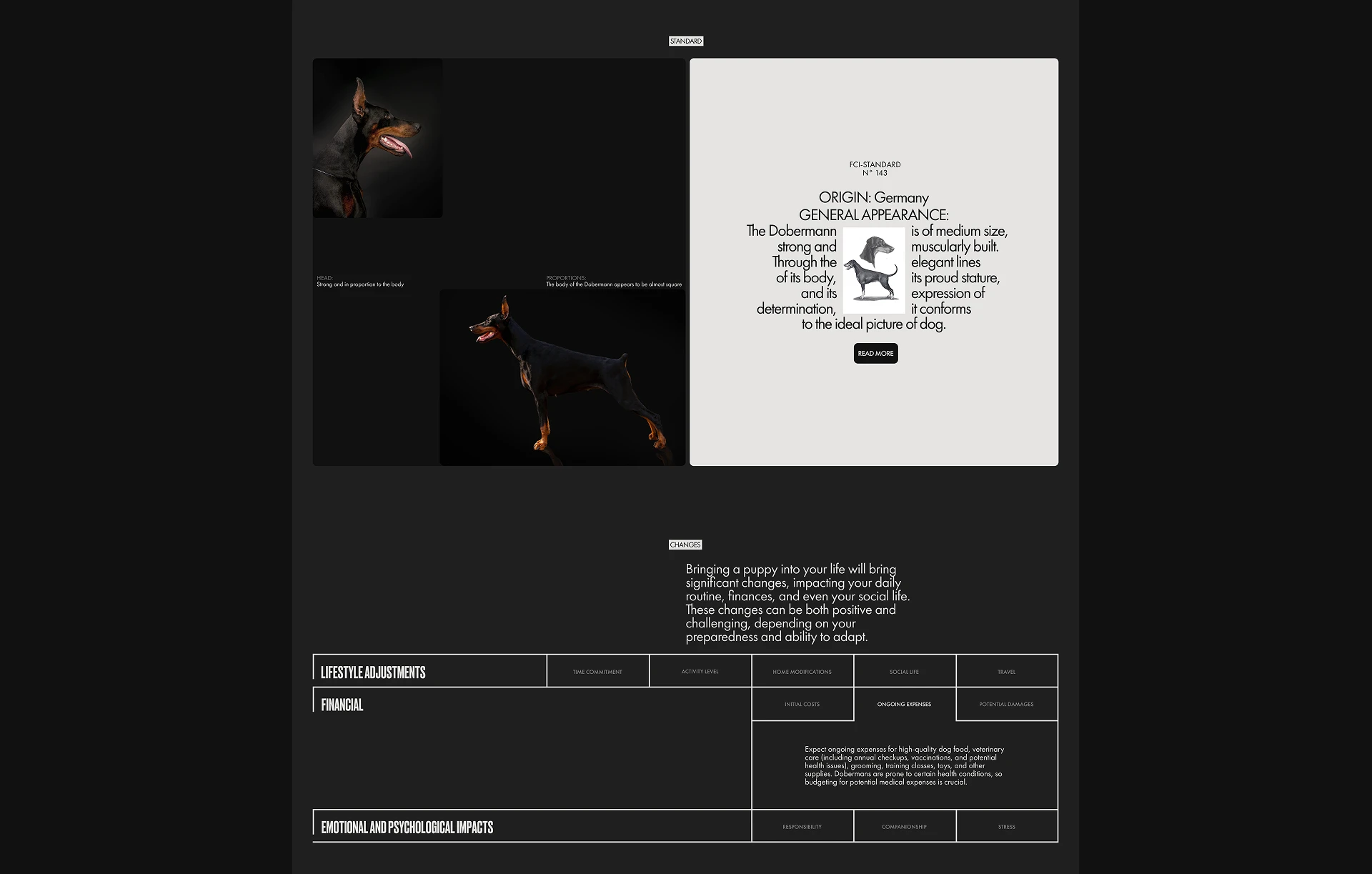 Design concept of corporate website — Изображение №11 — Интерфейсы на Dprofile