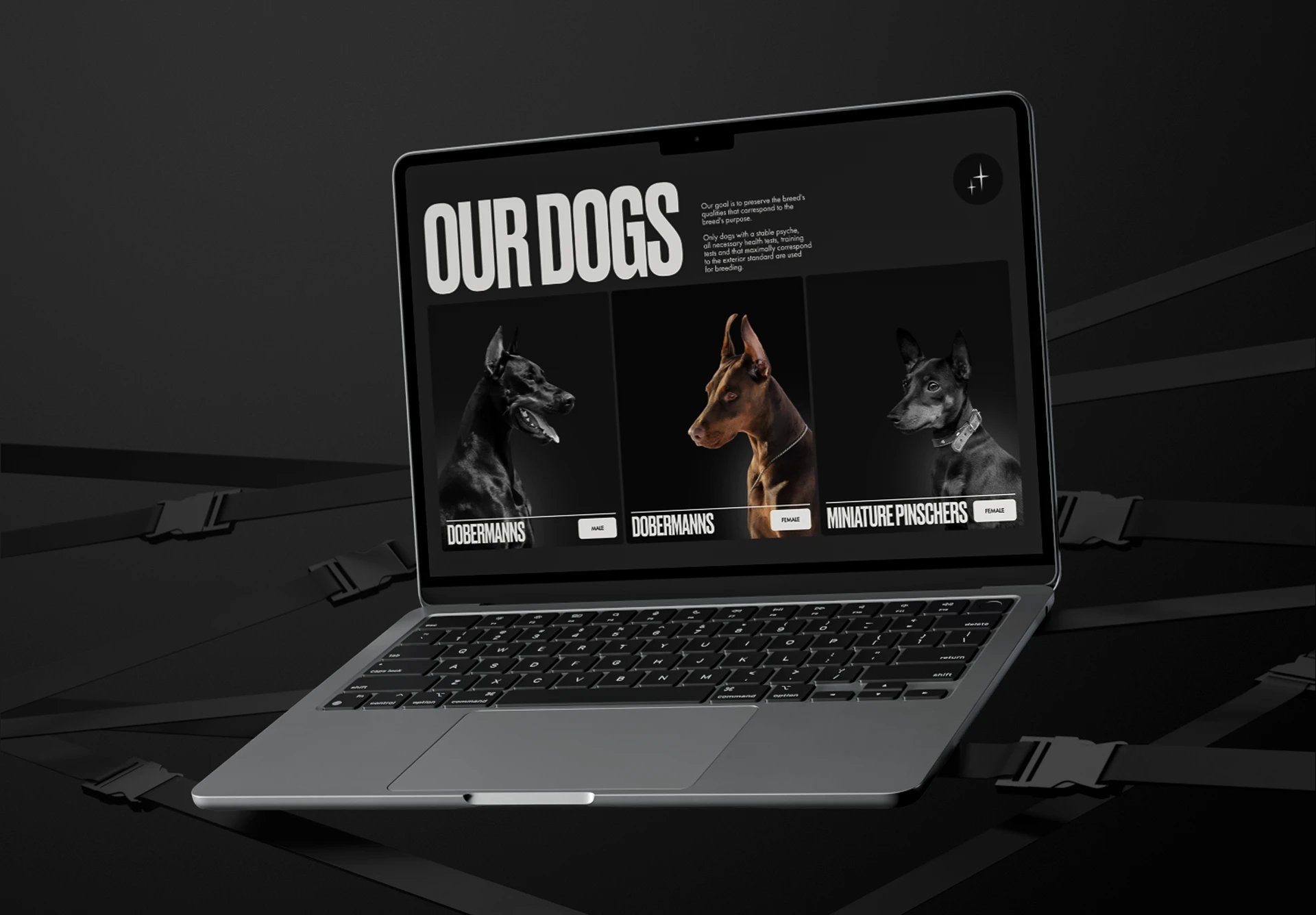 Design concept of corporate website — Изображение №2 — Интерфейсы на Dprofile