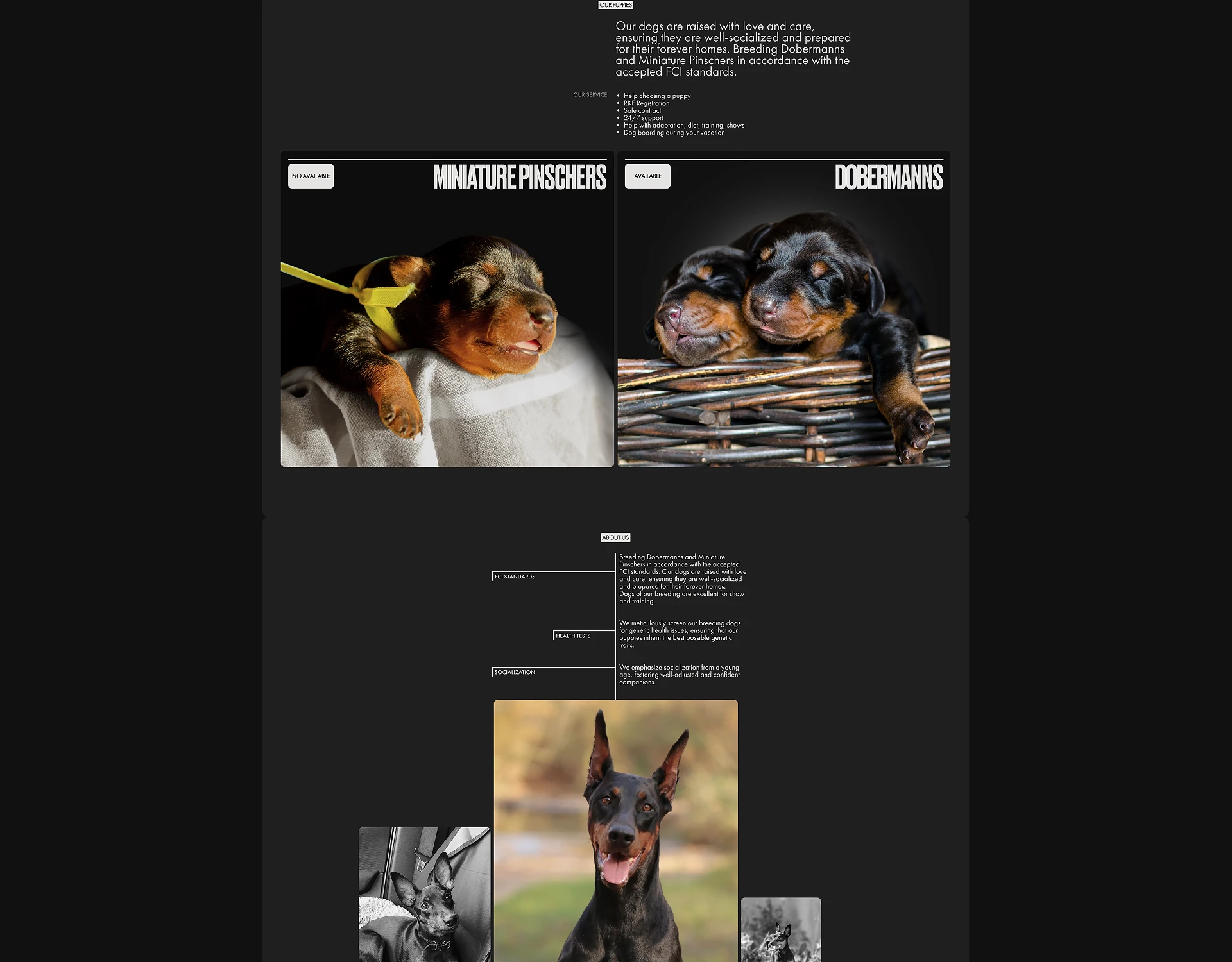 Design concept of corporate website — Изображение №4 — Интерфейсы на Dprofile