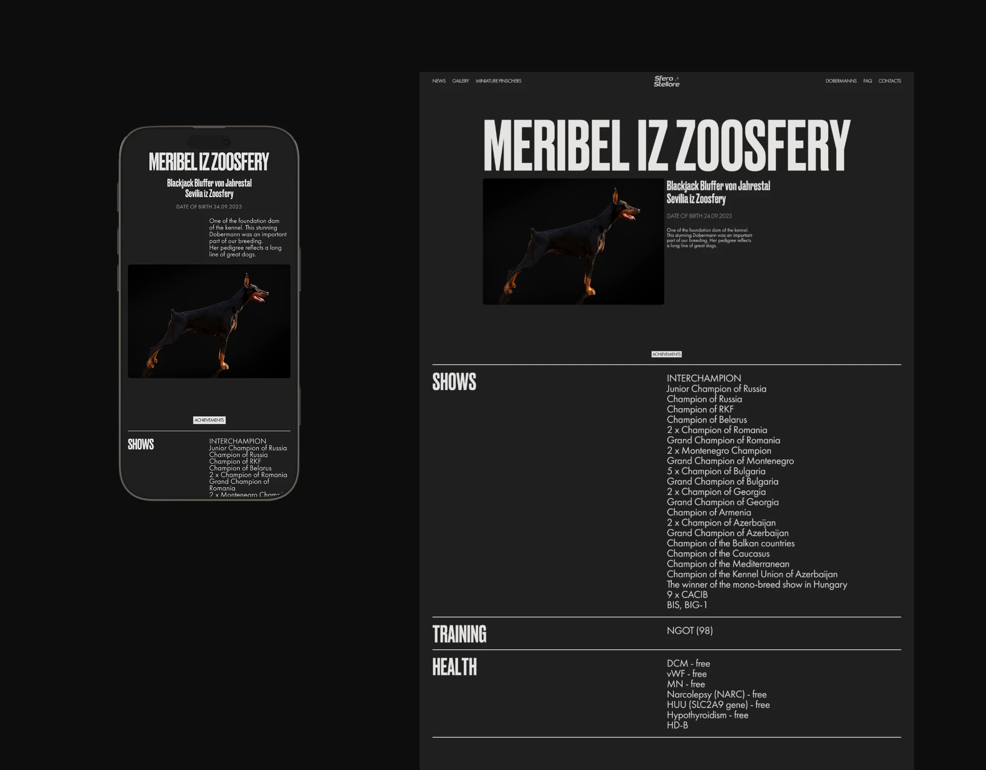 Design concept of corporate website — Изображение №19 — Интерфейсы на Dprofile
